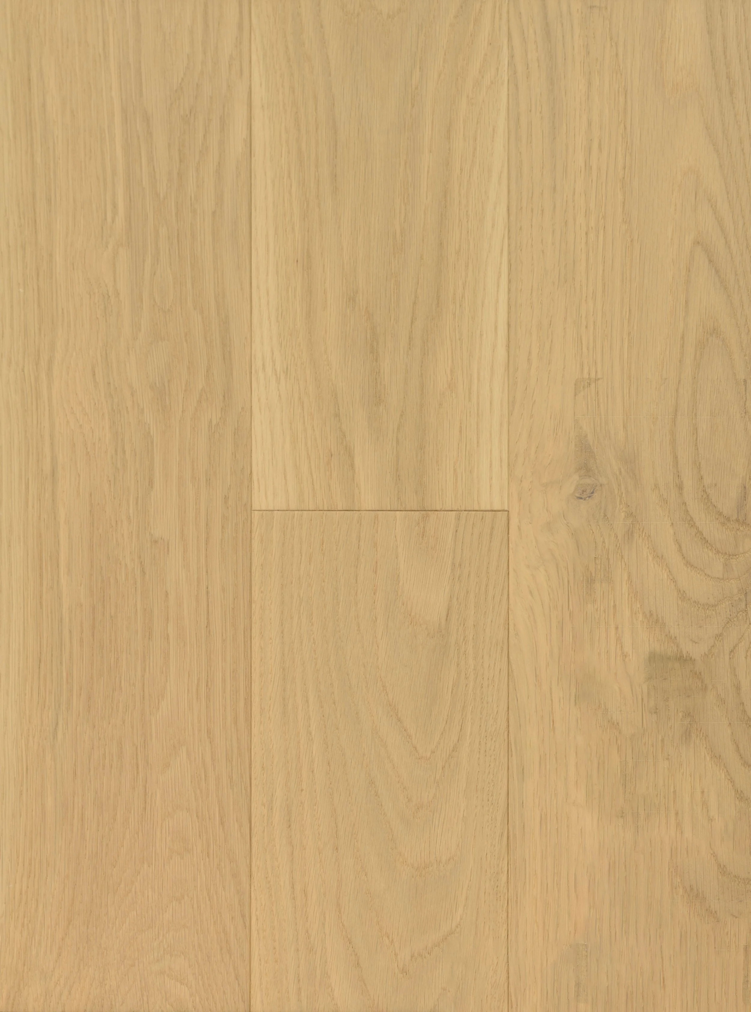 Coconut Cream Engineered Hardwood | CIERO x VIDAR