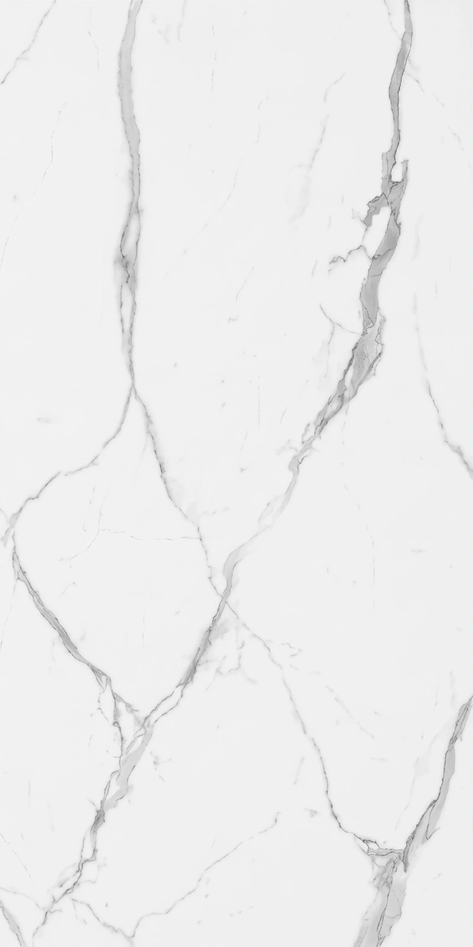 Statuario Marble 5' x 10' Porcelain Slab | CIERO