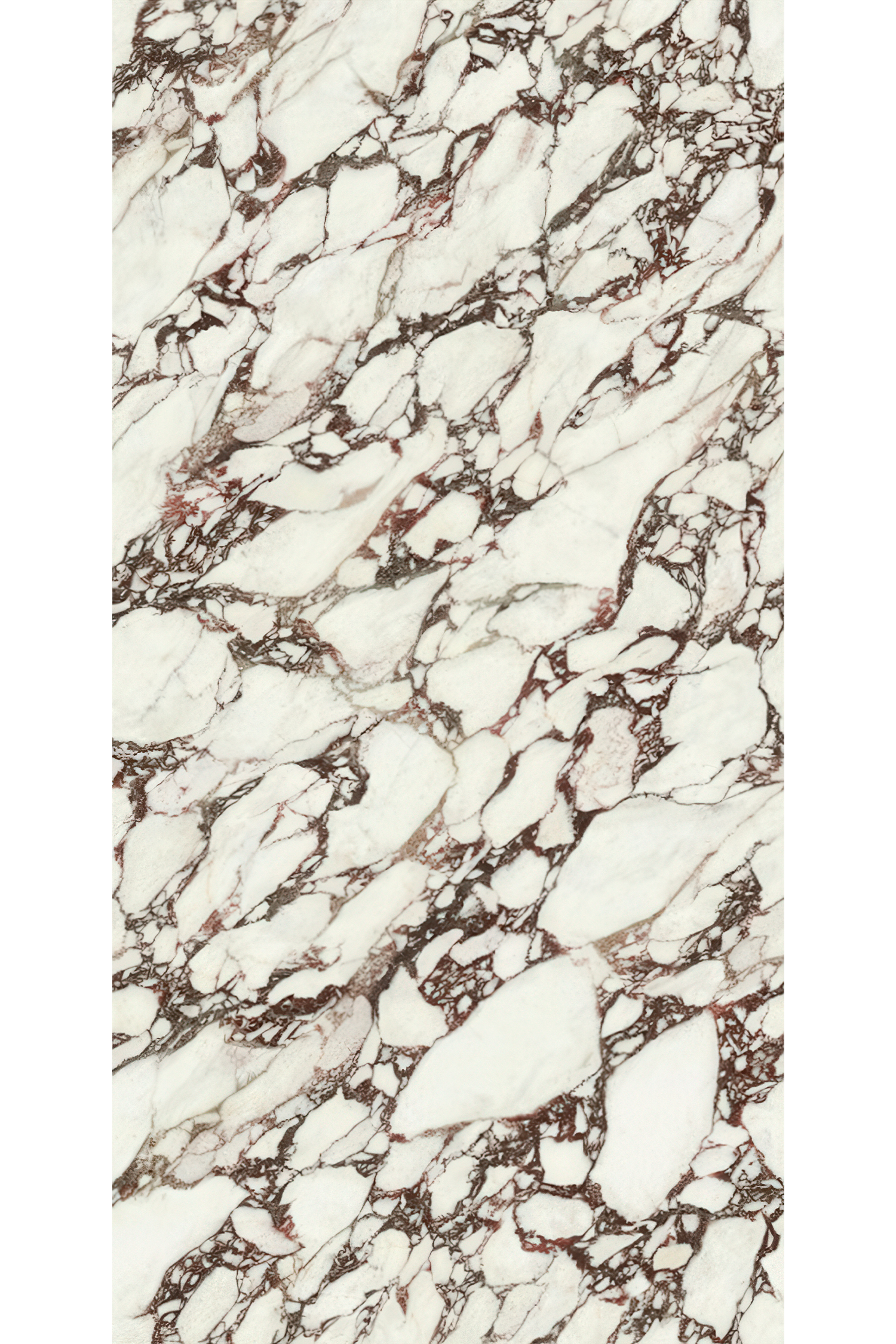 Calacatta Viola 5' x 10' Porcelain Slab | CIERO