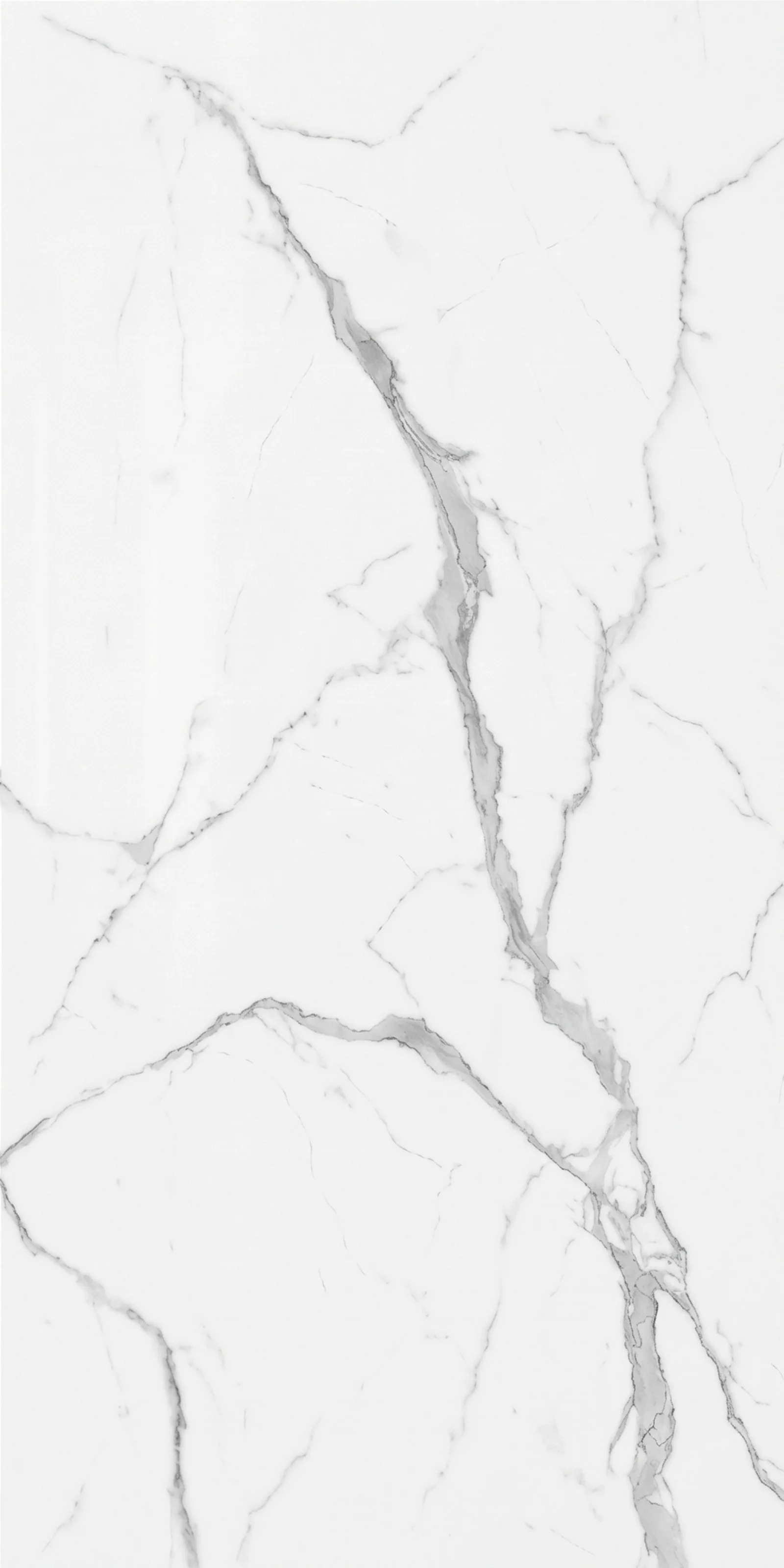 Statuario Marble 5' x 10' Porcelain Slab | CIERO