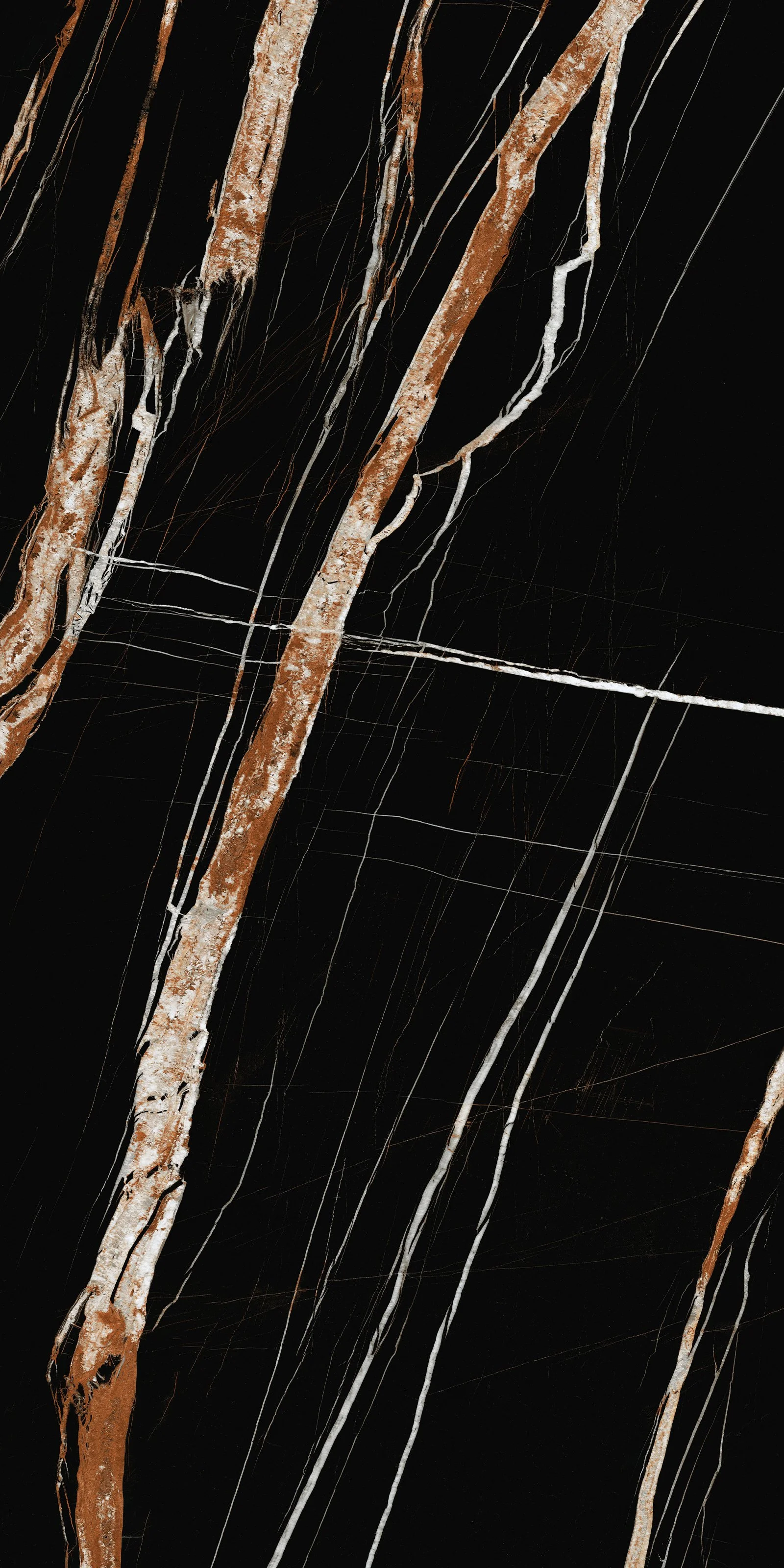 Roman Niello 5' x 10' Porcelain Slab | CIERO