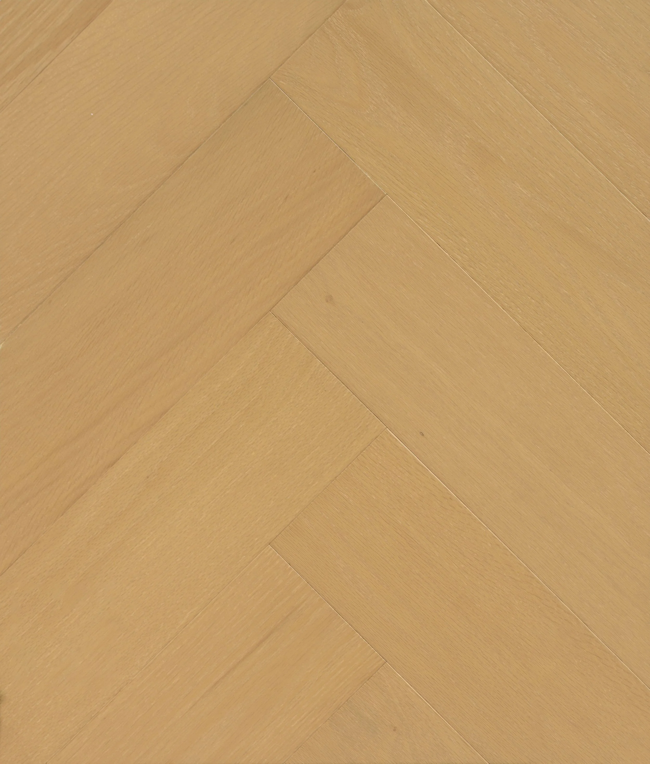 Senses Engineered Hardwood | CIERO x CANADIAN STANDARD
