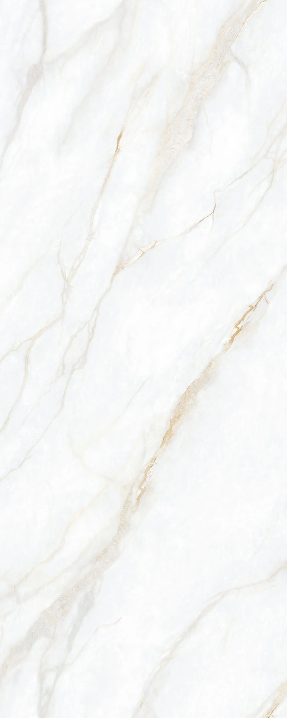Prestige 4' x 10' Porcelain Slab | CIERO