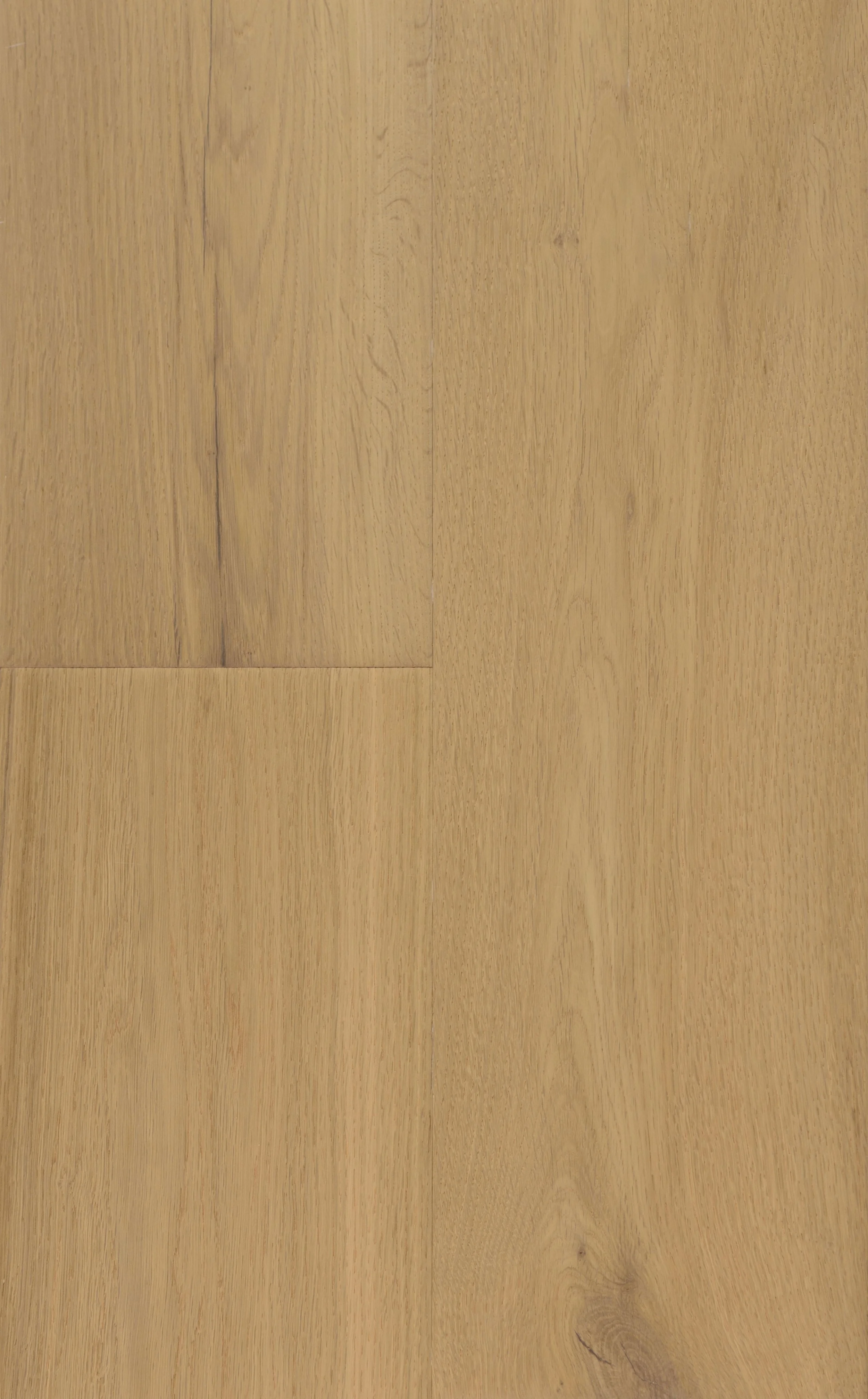 Geneva Engineered Hardwood | CIERO x FUZION