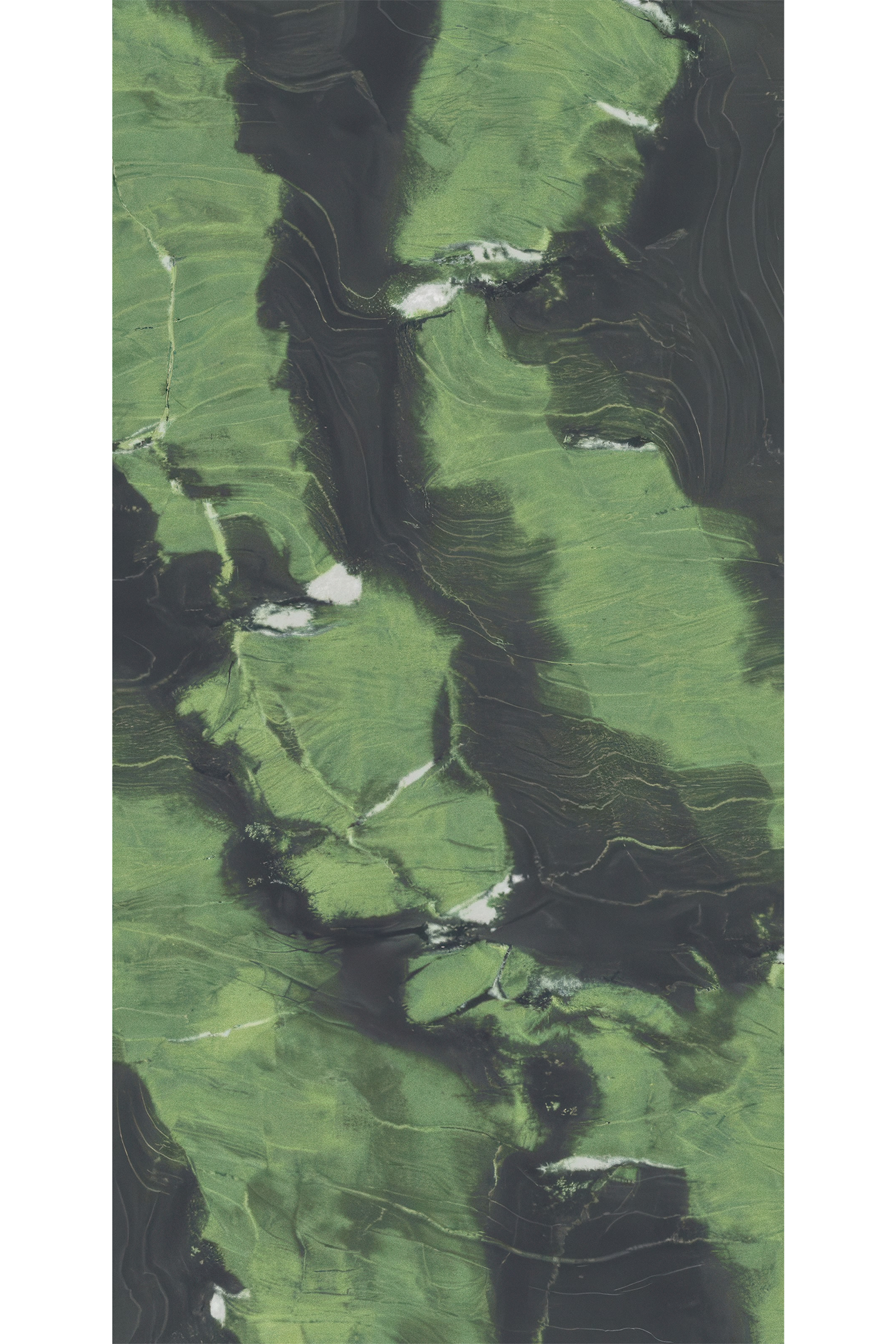 Avocado Green 5' x 10' Porcelain Slab | CIERO