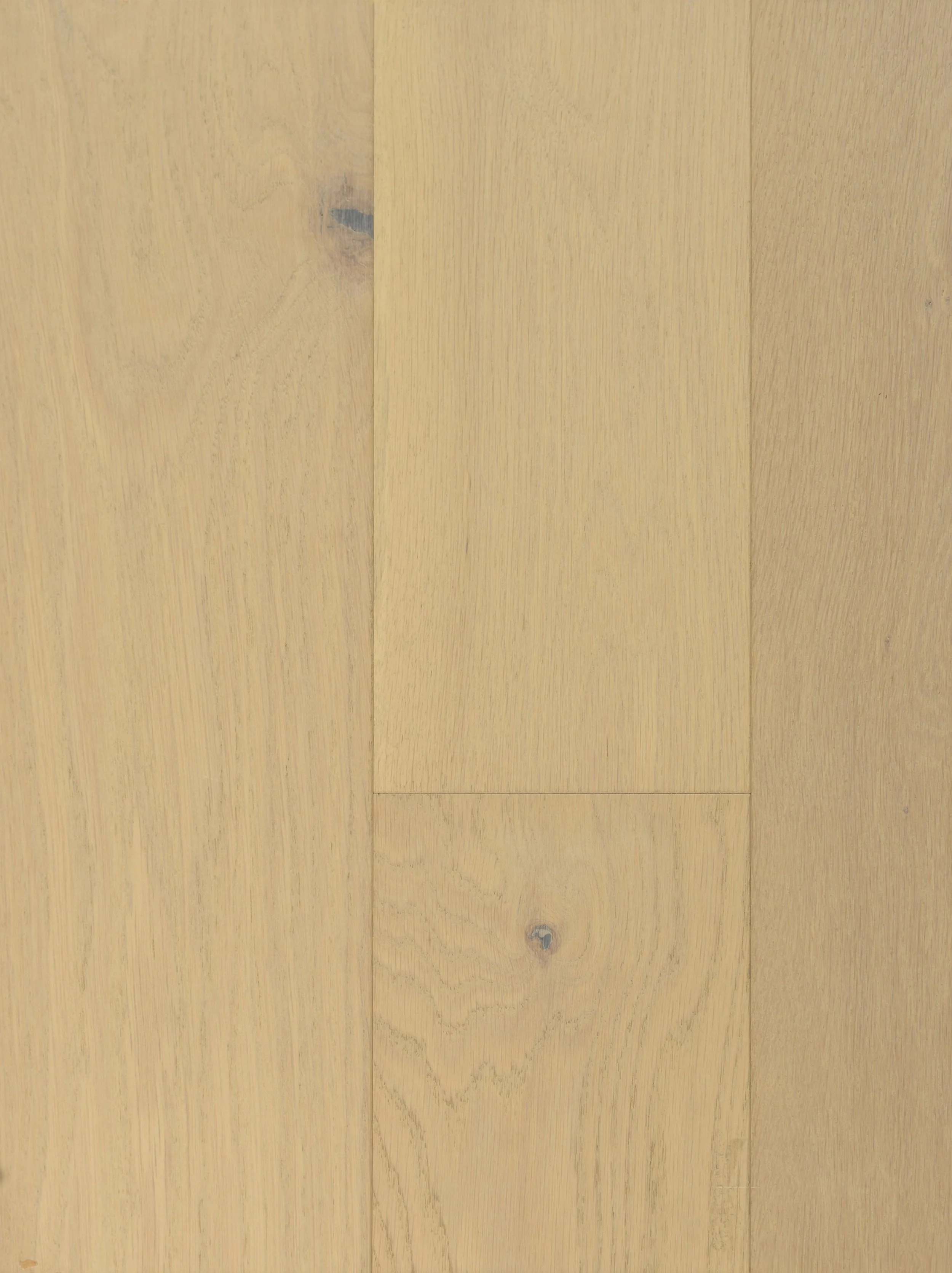 Aruba Sand Engineered Hardwood | CIERO x VIDAR