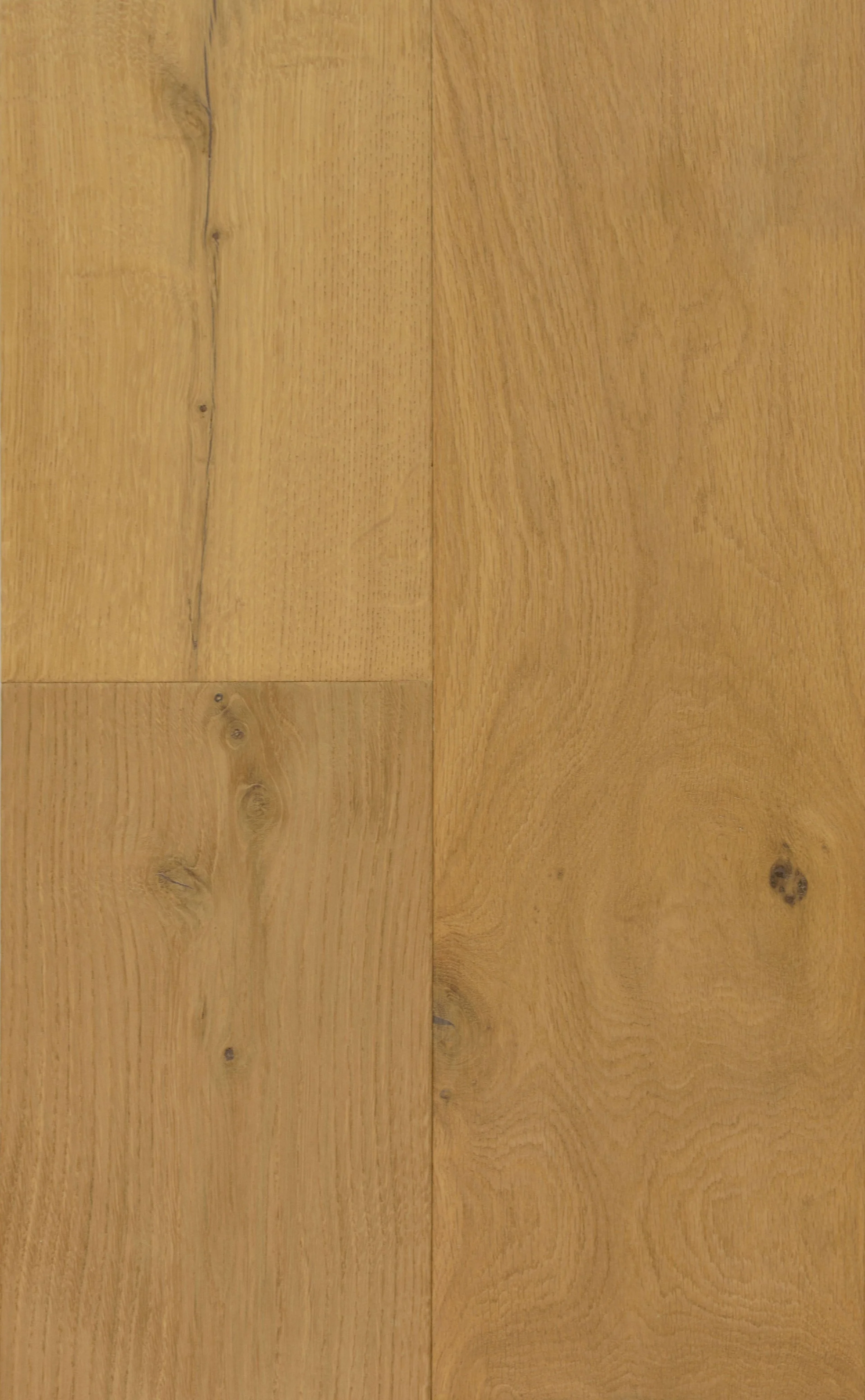 Edinburgh Engineered Hardwood | CIERO x FUZION