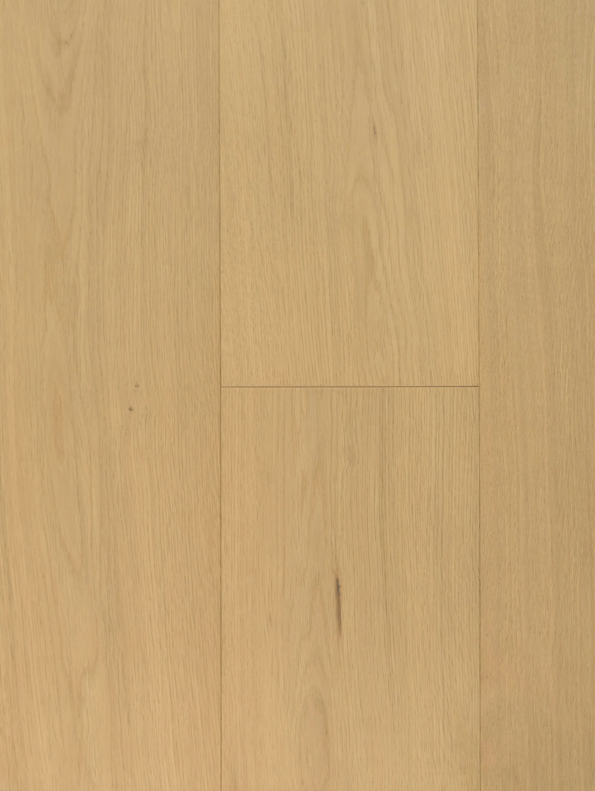 Banf Engineered Hardwood | CIERO x VIDAR