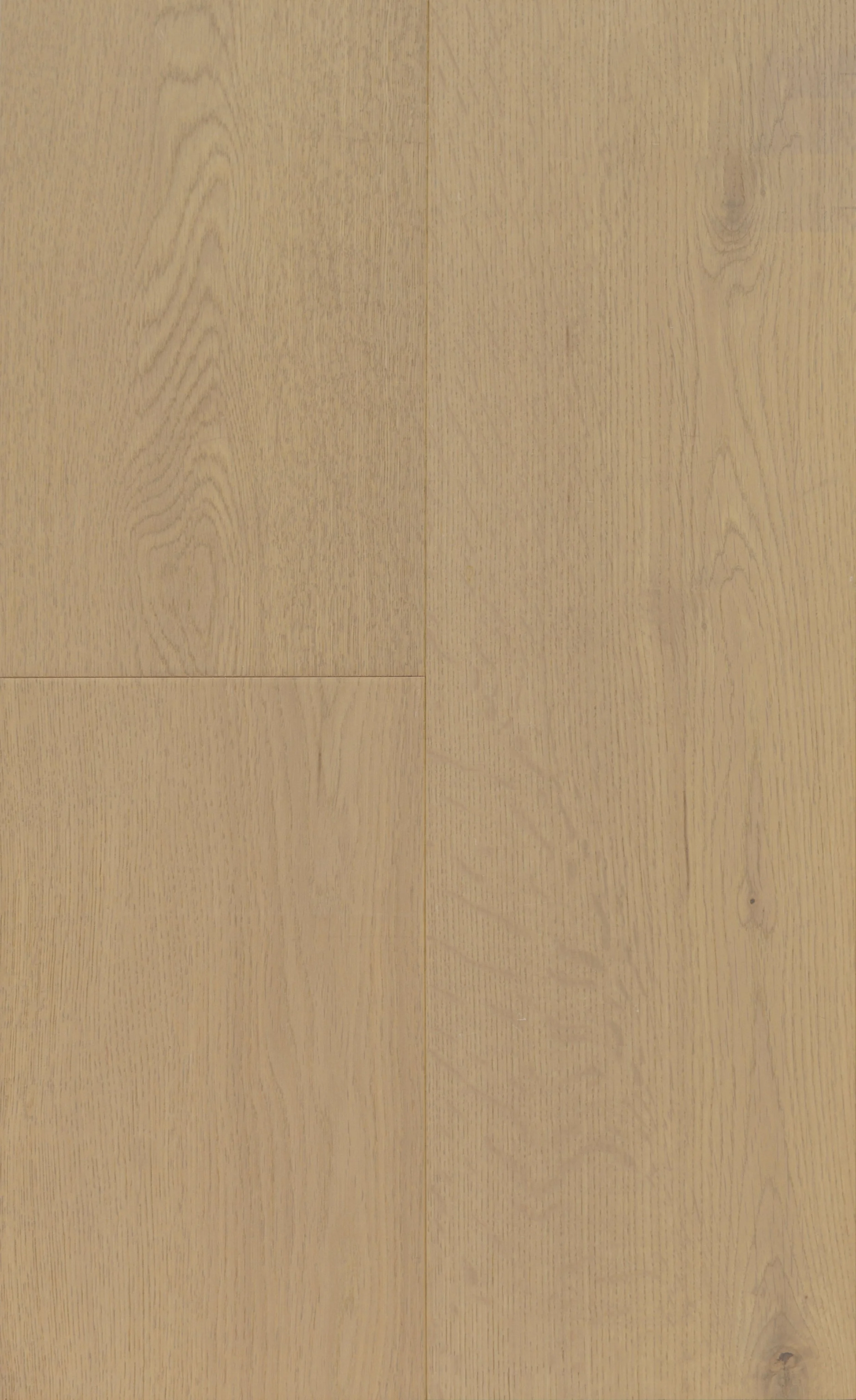 Felicity Engineered Hardwood | CIERO x FUZION