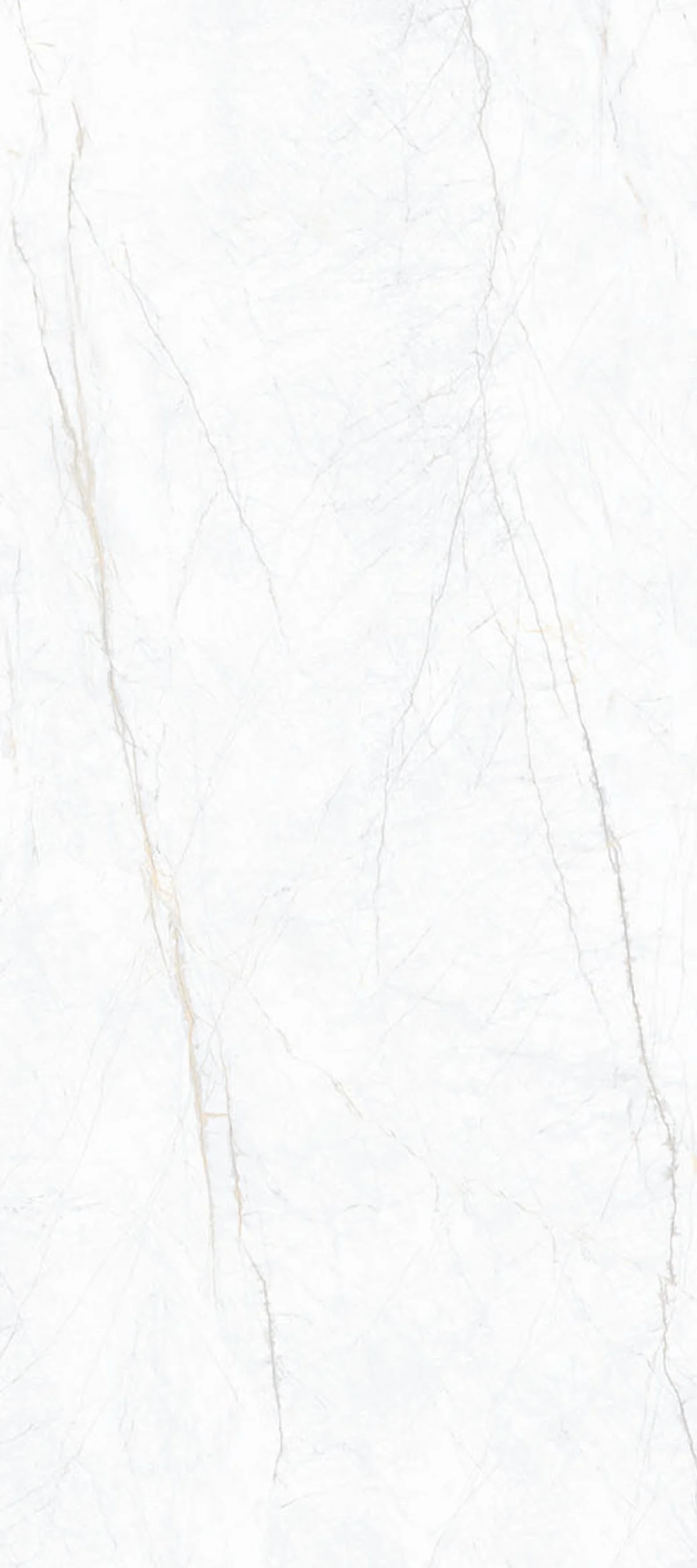 Statuario Pearl 4' x 9' Porcelain Slab | CIERO