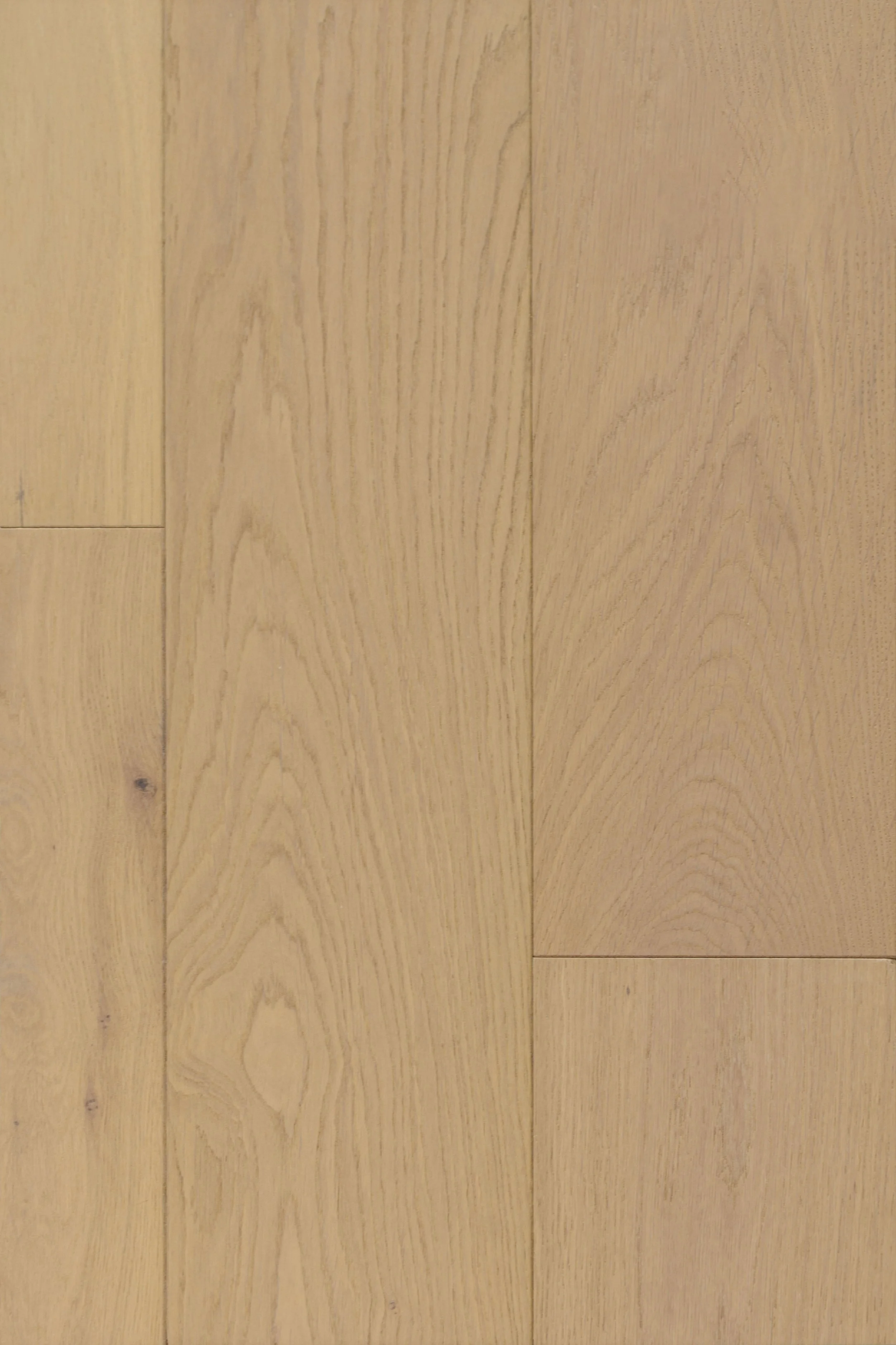 Hushed Hue Engineered Hardwood | CIERO x FUZION