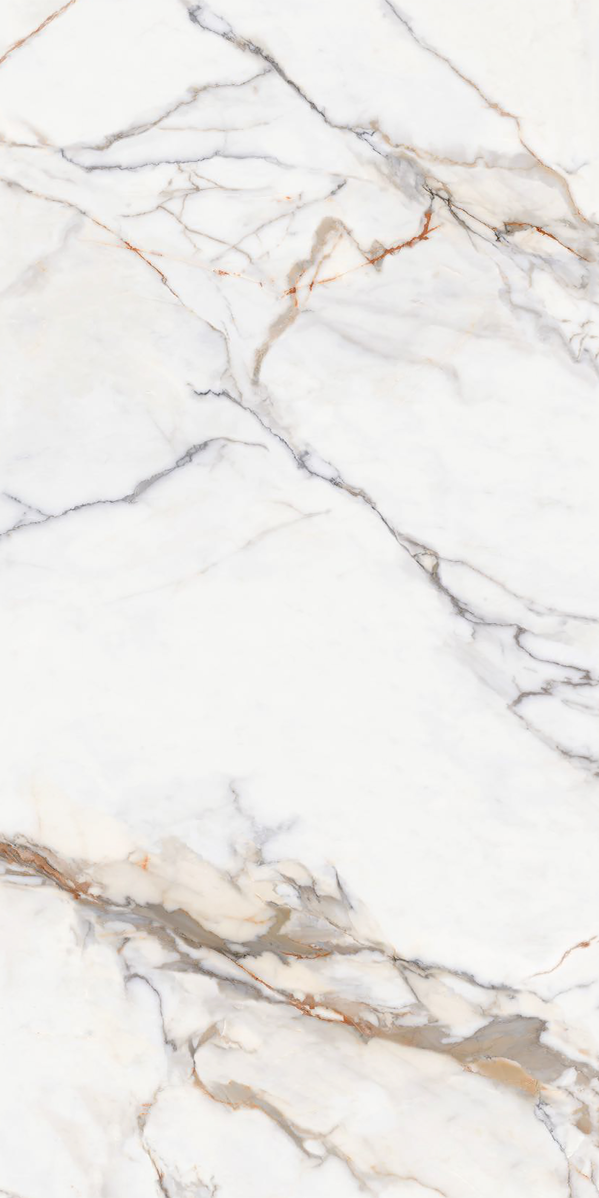 Calacatta Gold 4' x 8' Porcelain Slab | CIERO