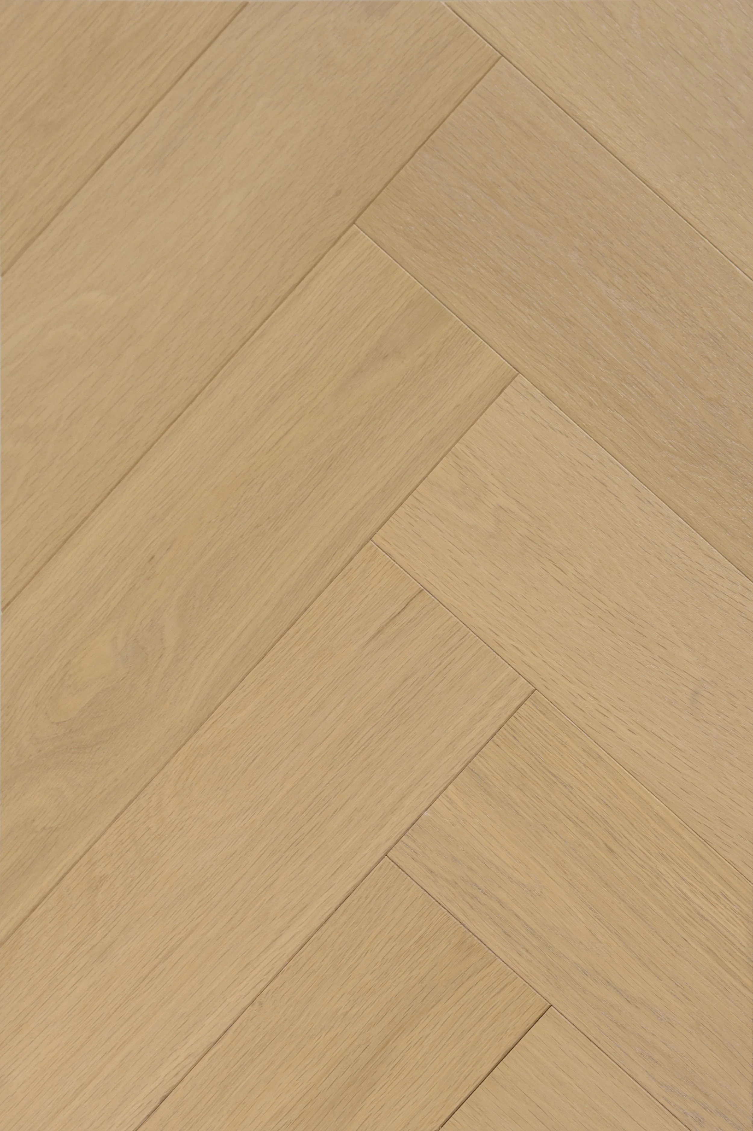 Serene Haze Engineered Hardwood | CIERO x FUZION
