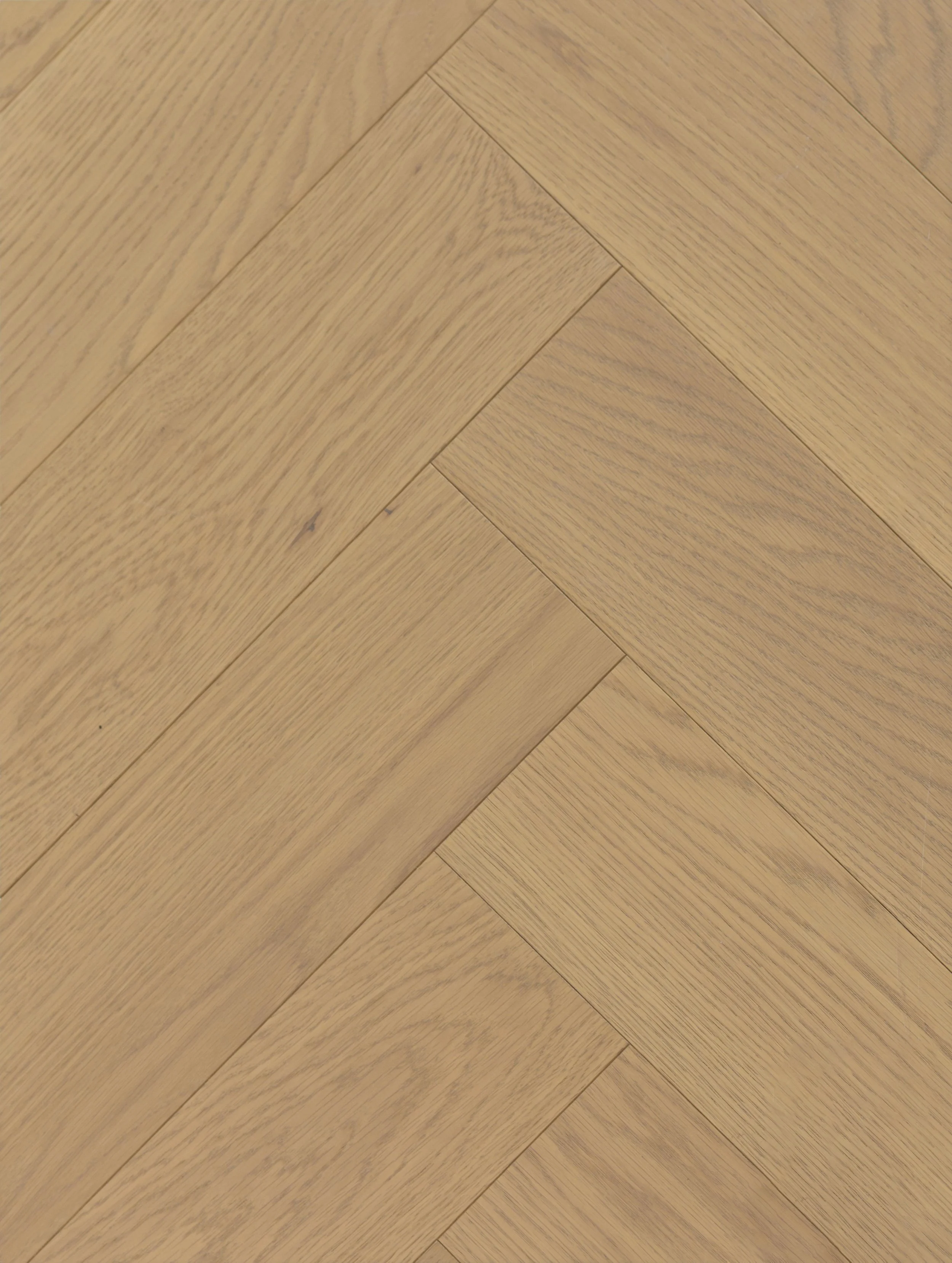 Whisper Engineered Hardwood | CIERO x VIDAR