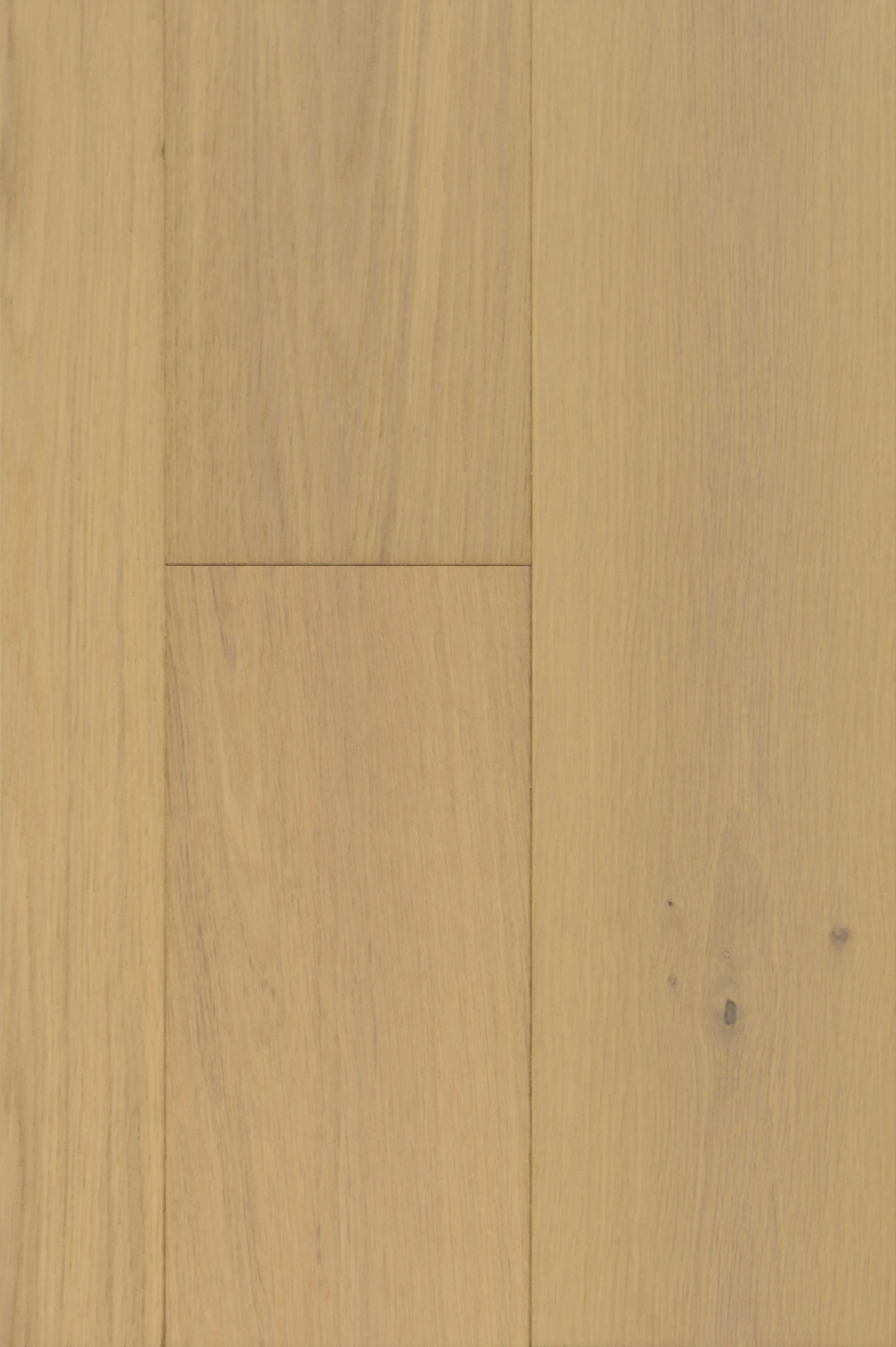 Quiet Quill Engineered Hardwood | CIERO x FUZION