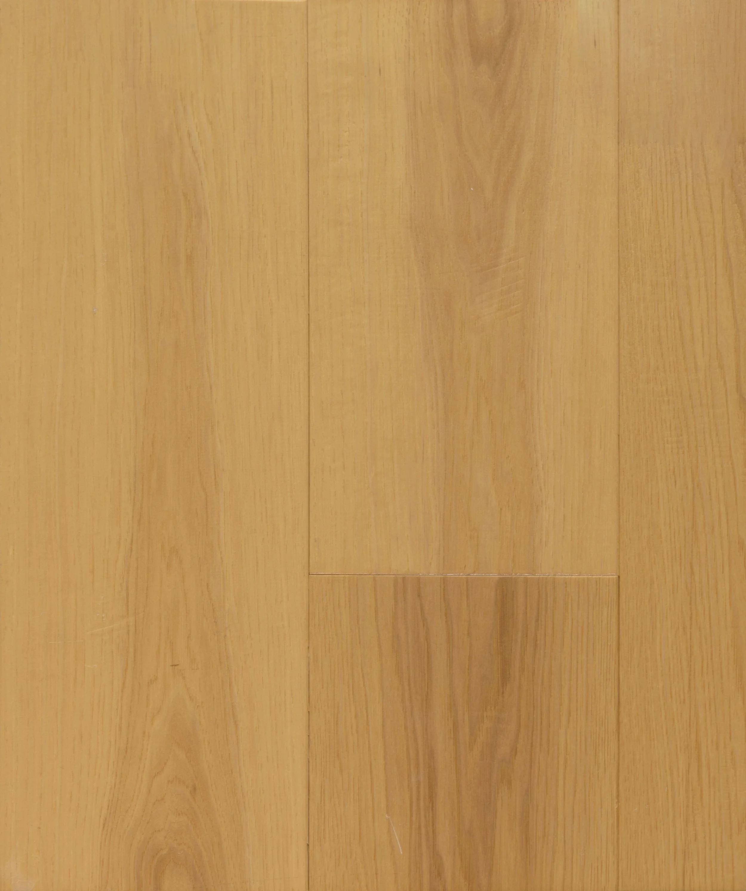 Golden Sands Engineered Hardwood | CIERO x FUZION