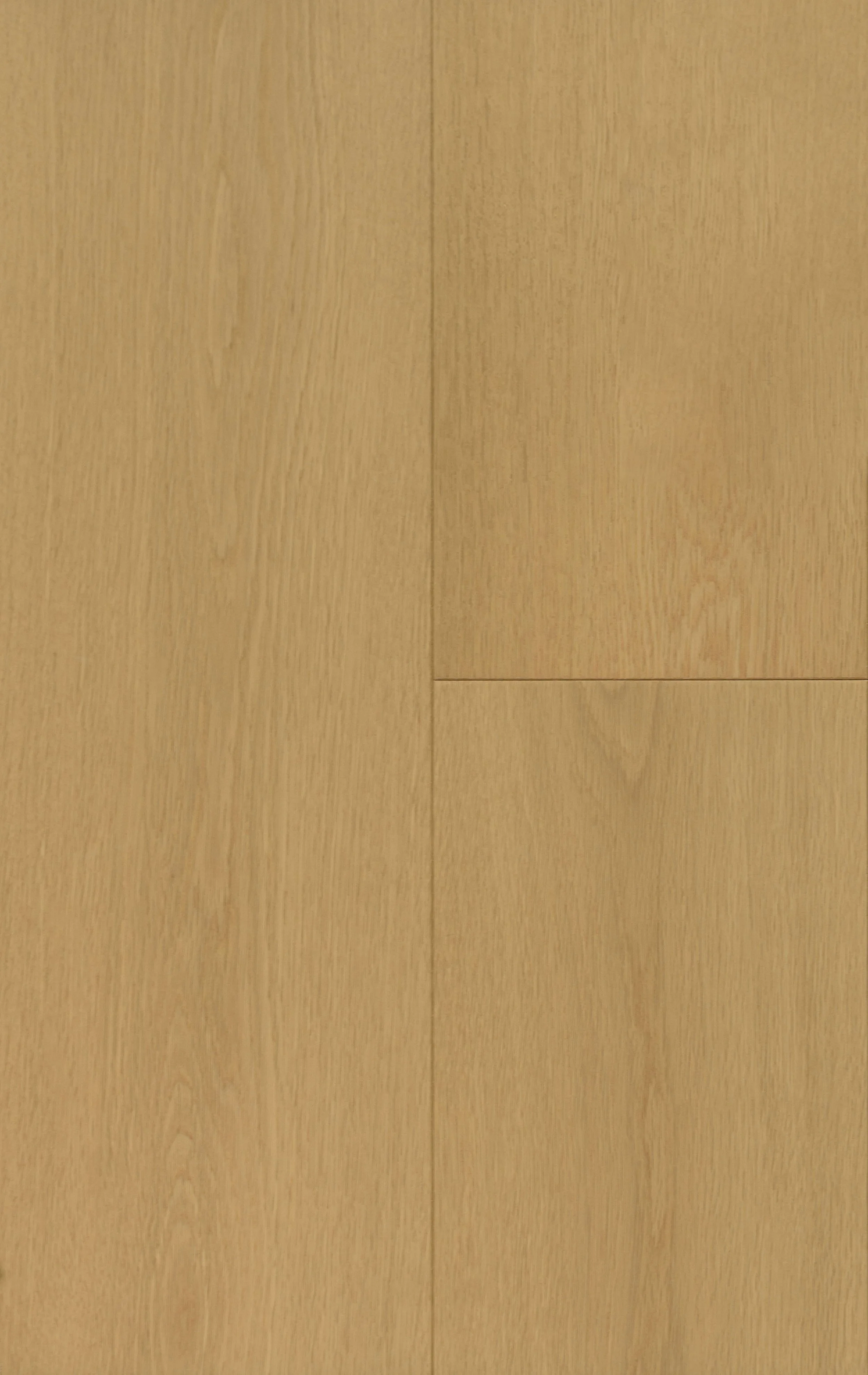 Whispering Moore Engineered Hardwood | CIERO x FUZION