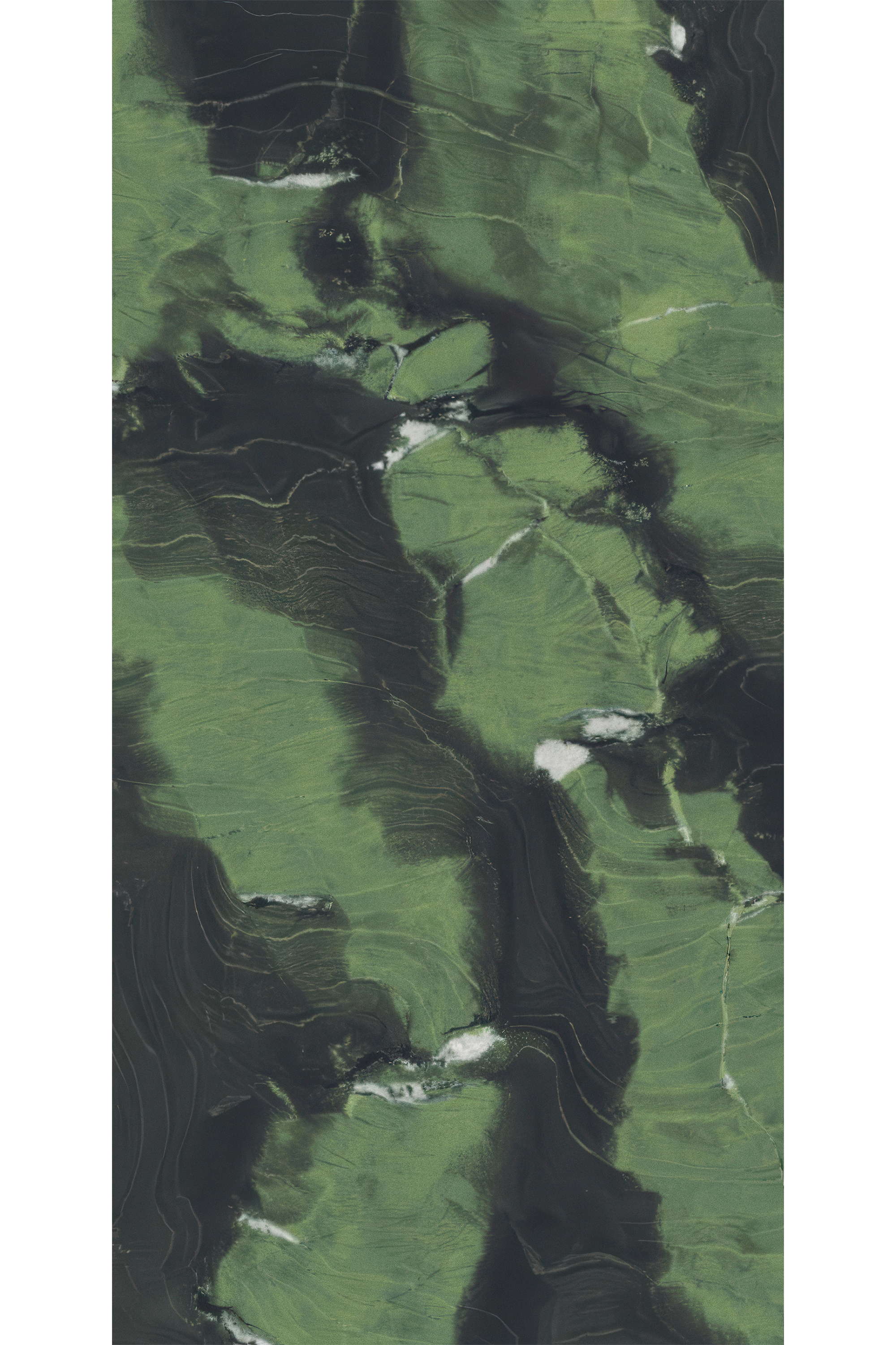 Avocado Green 5x10 Porcelain Slab | CIERO