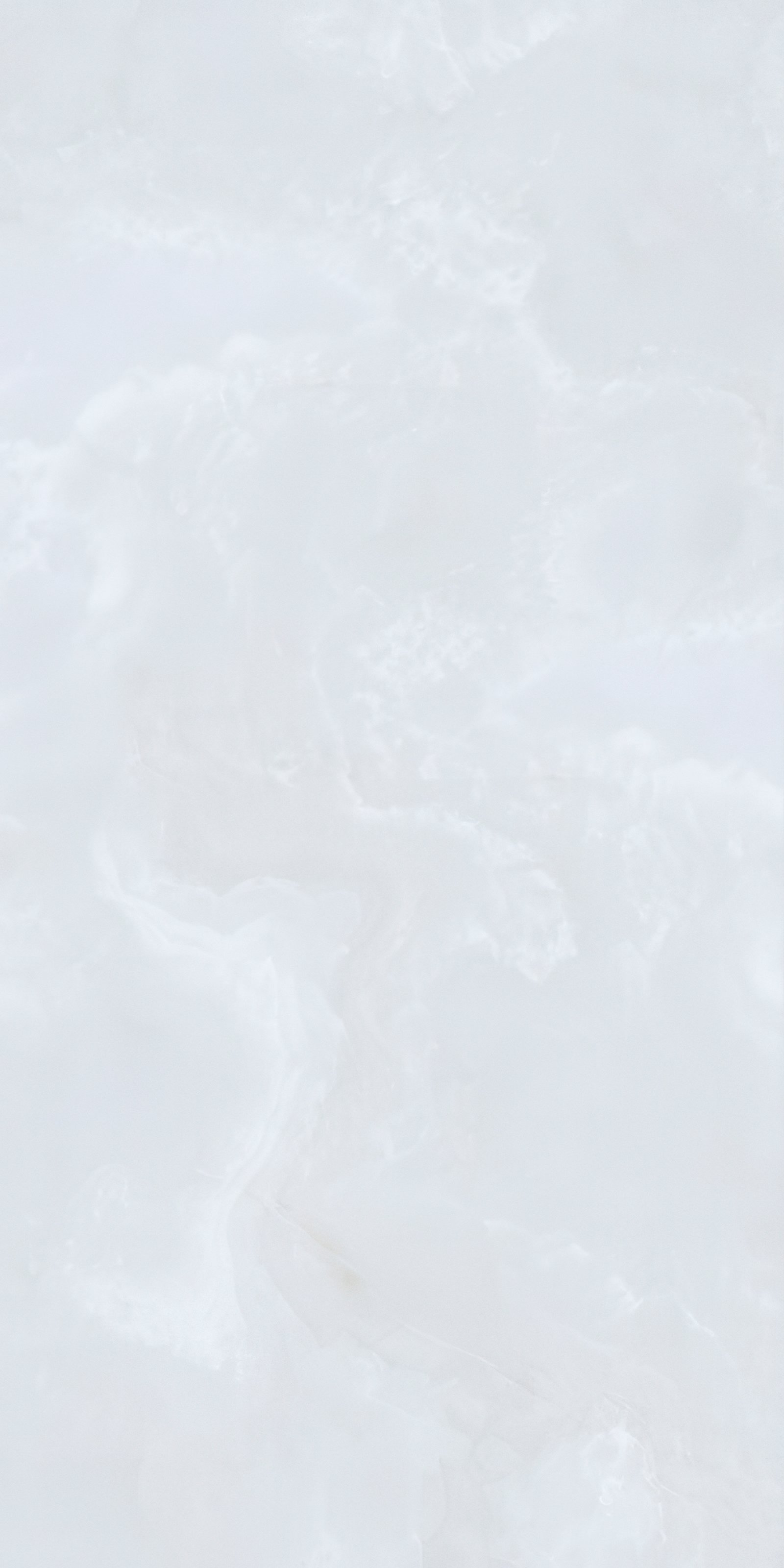Onyx 5'x10' Porcelain Slab | CIERO