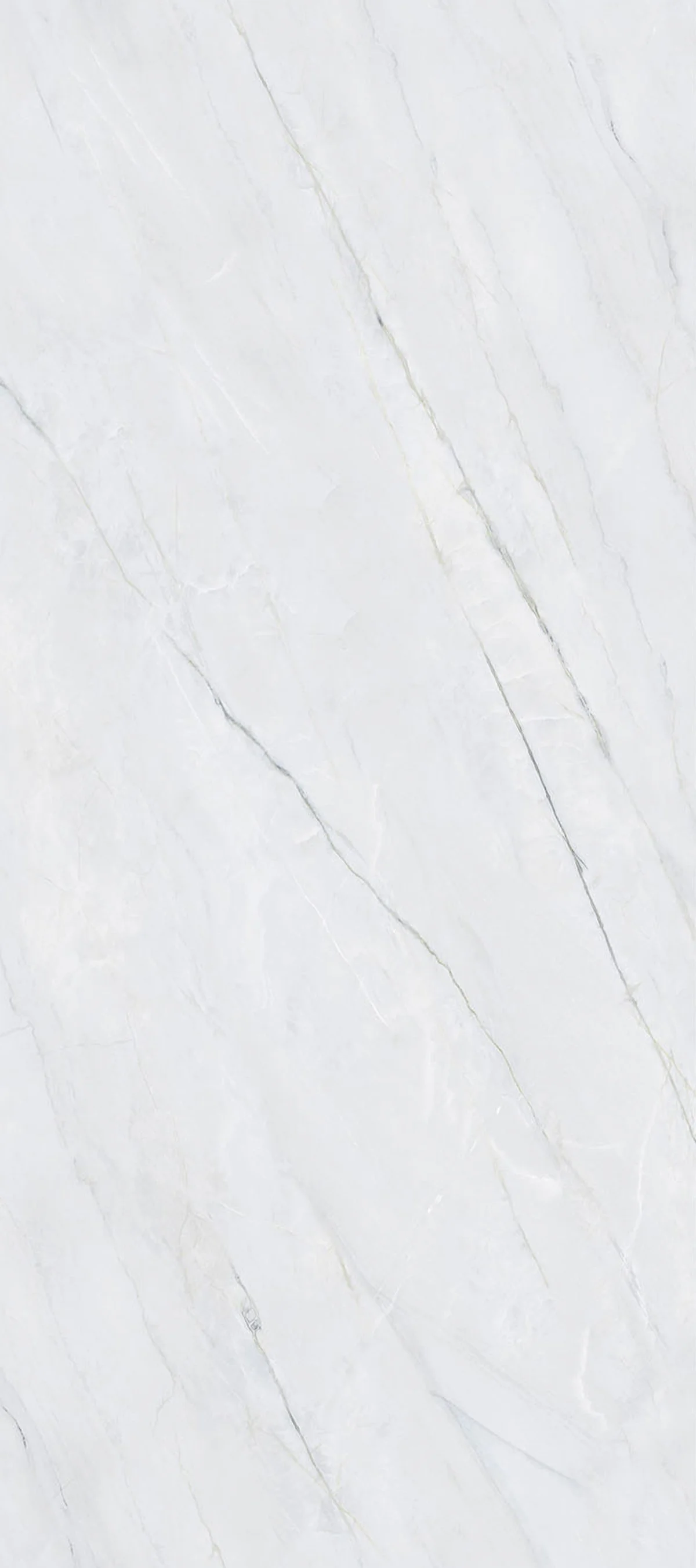 Ashen Slate 4' x 9' Porcelain Slab | CIERO