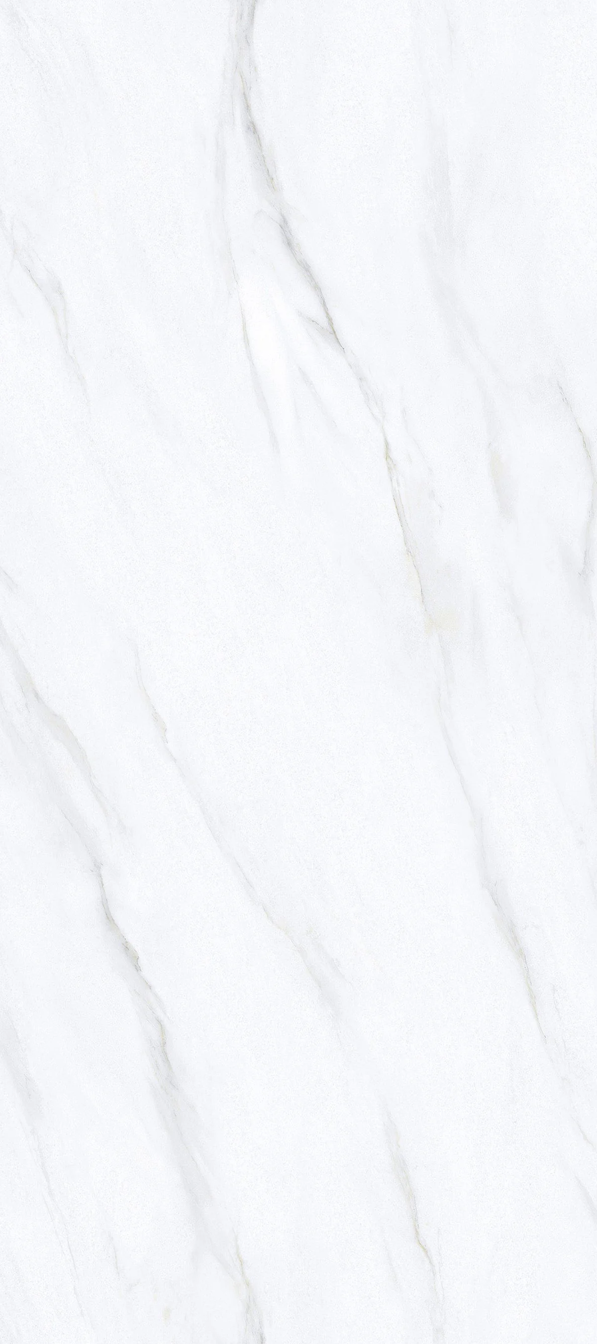 Calacatta Nuvola 4' x 9' Porcelain Slab | CIERO
