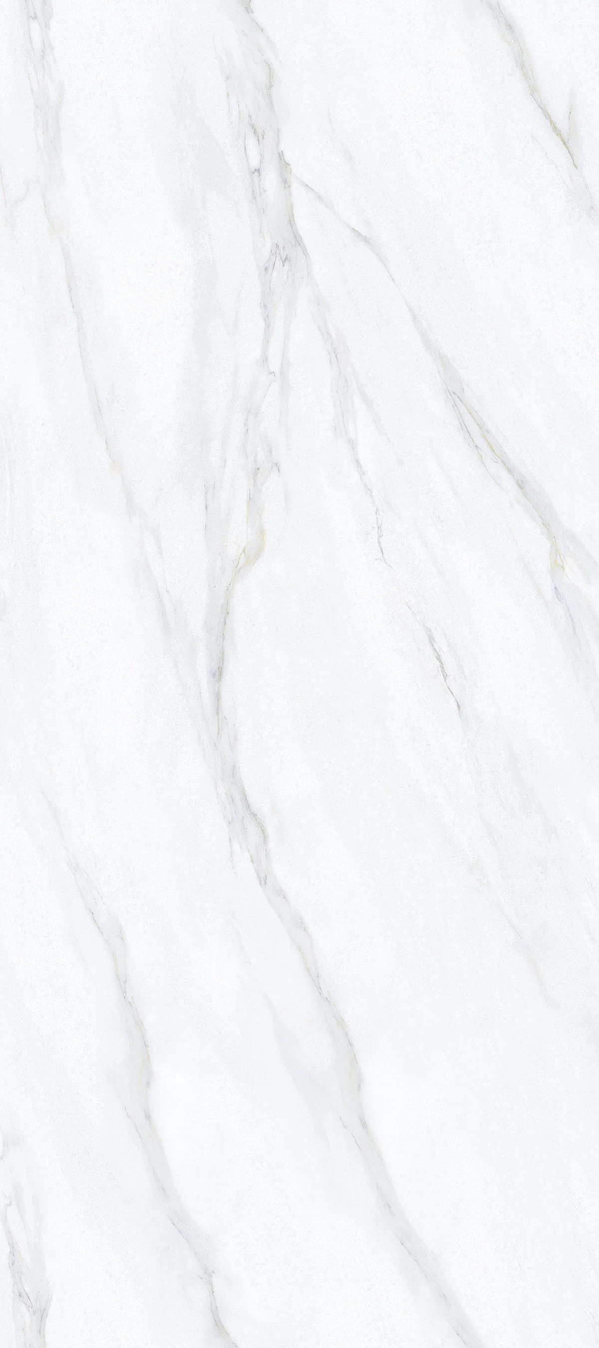 Calacatta Nuvola 4' x 9' Porcelain Slab | CIERO