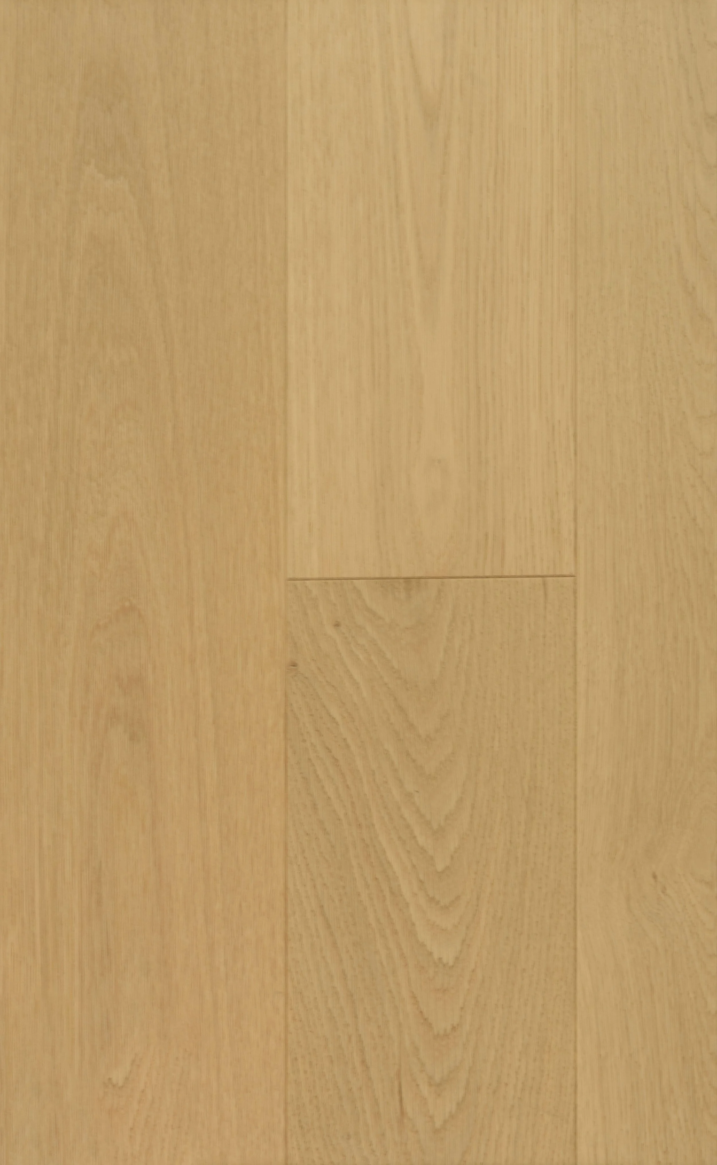 Seashell Path Engineered Hardwood | CIERO x FUZION