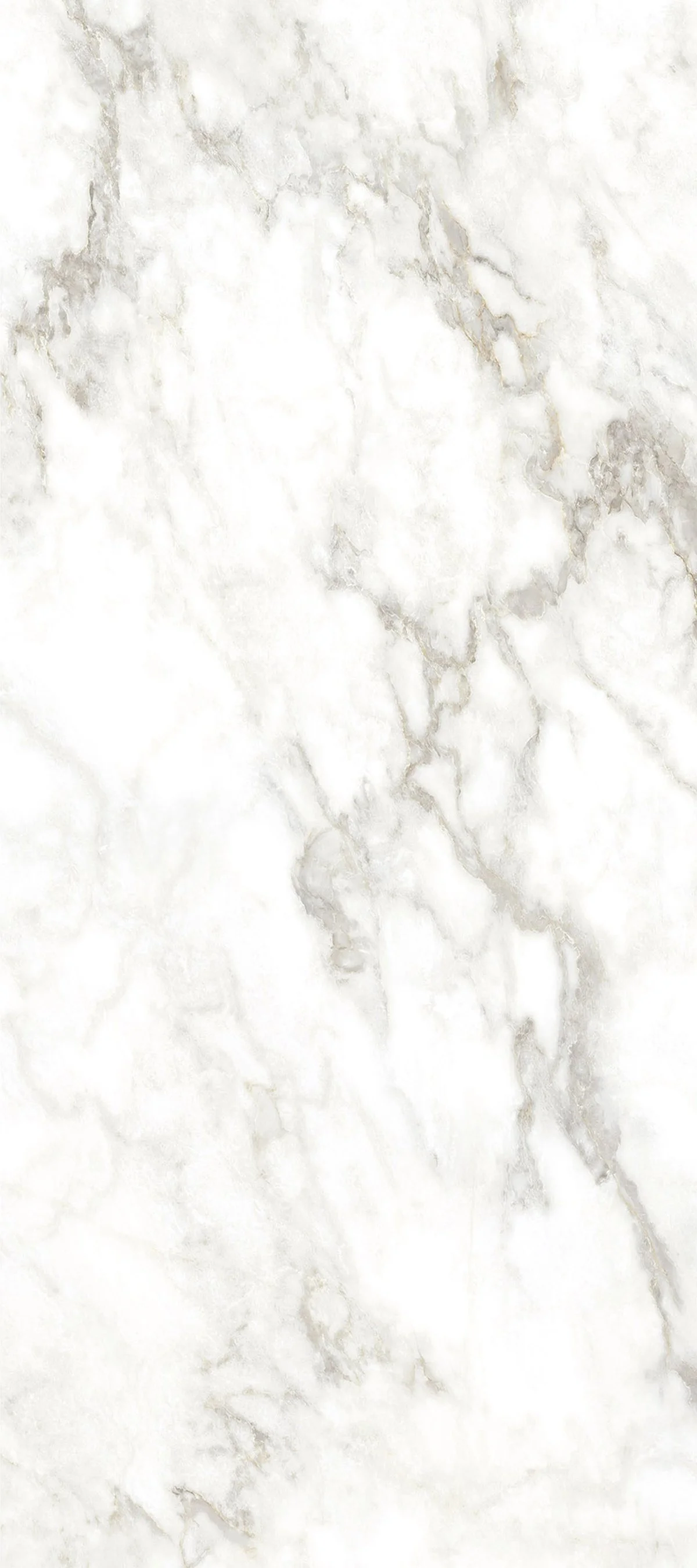 Vienna White 4' x 9' Porcelain Slab | CIERO