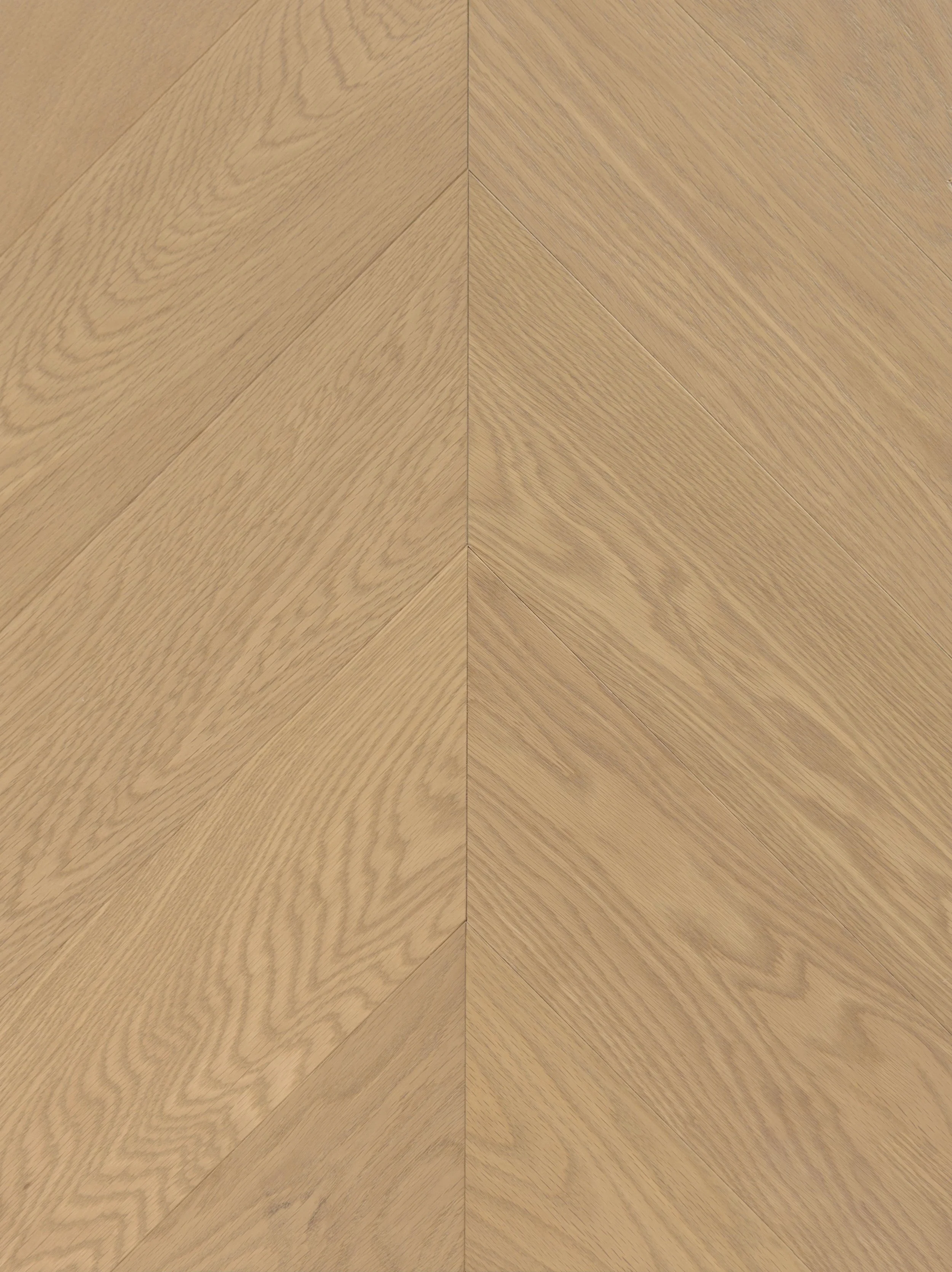 Whisper Engineered Hardwood | CIERO x VIDAR