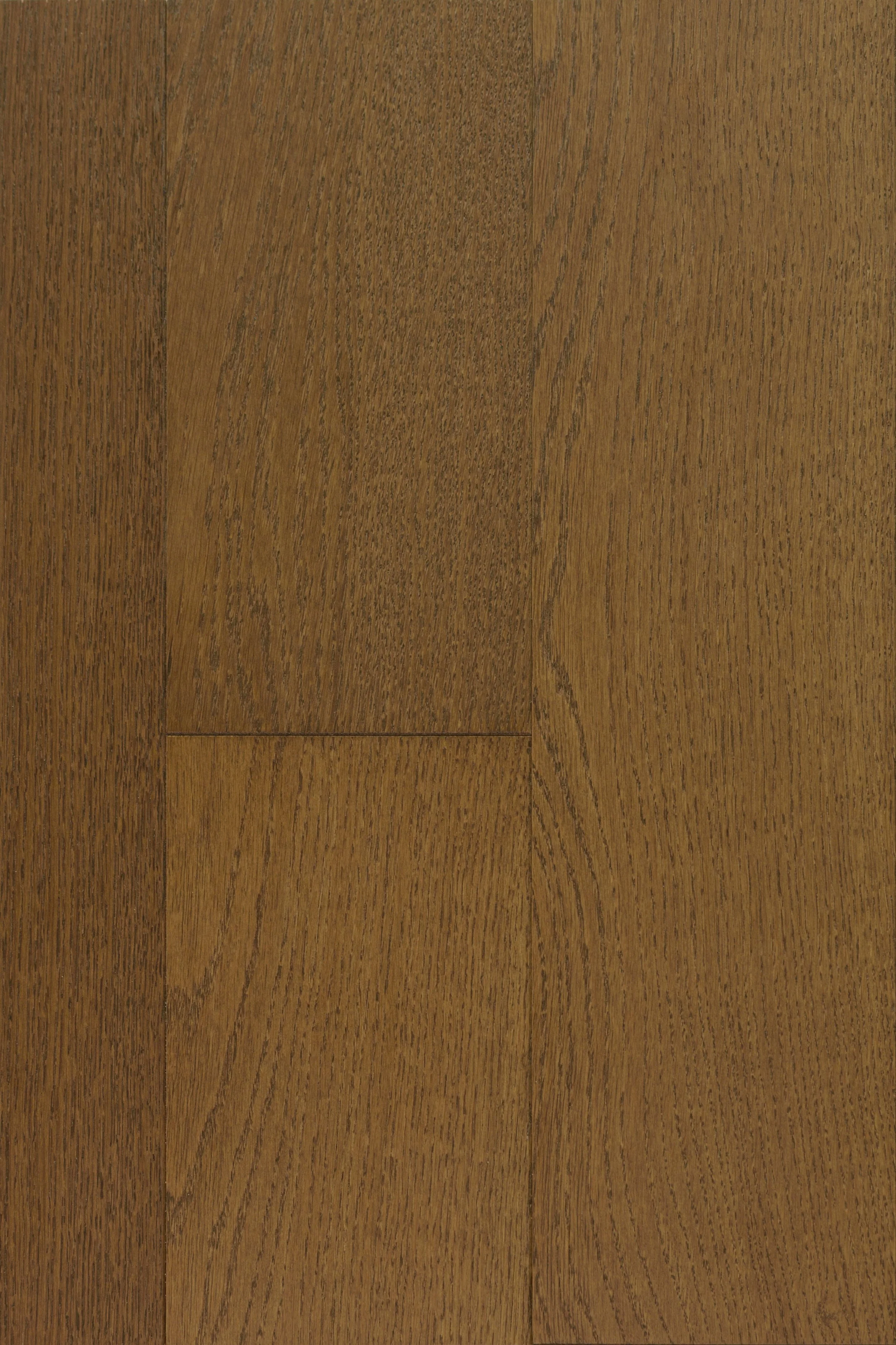 Hazel Caress Engineered Hardwood | CIERO x FUZION