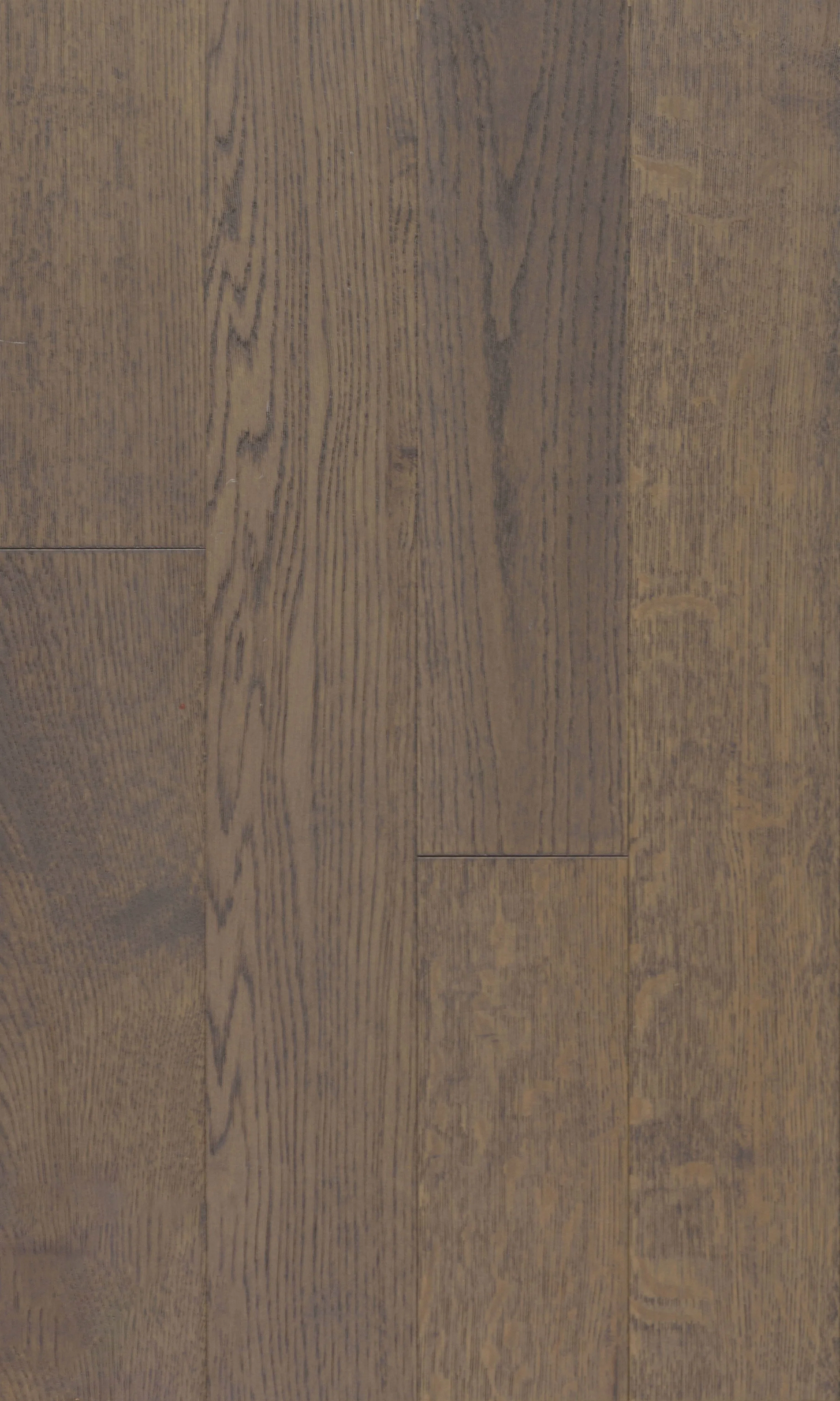 Summer Rain Engineered Hardwood | CIERO x FUZION