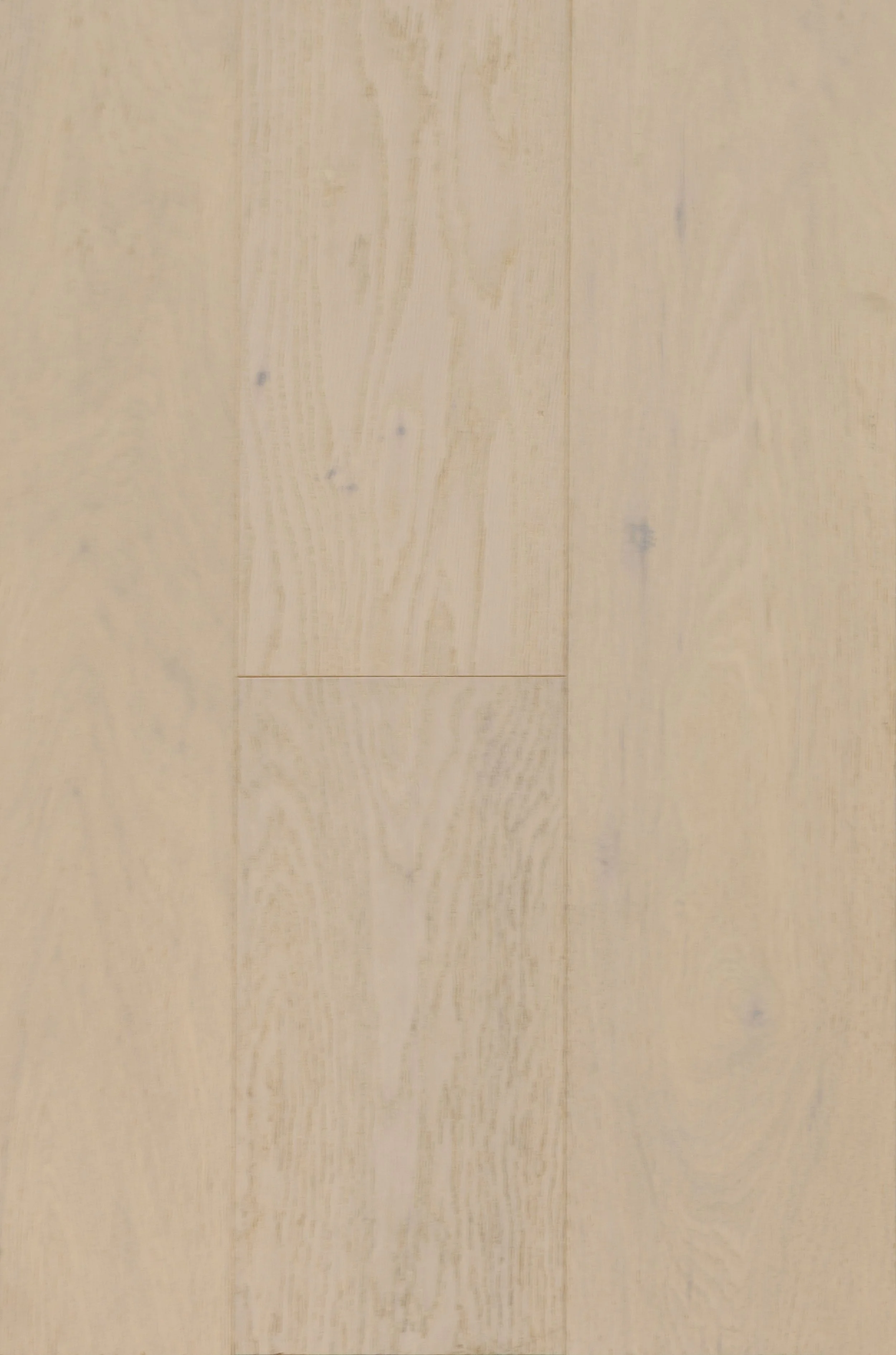 Elrose Engineered Hardwood | CIERO x FUZION