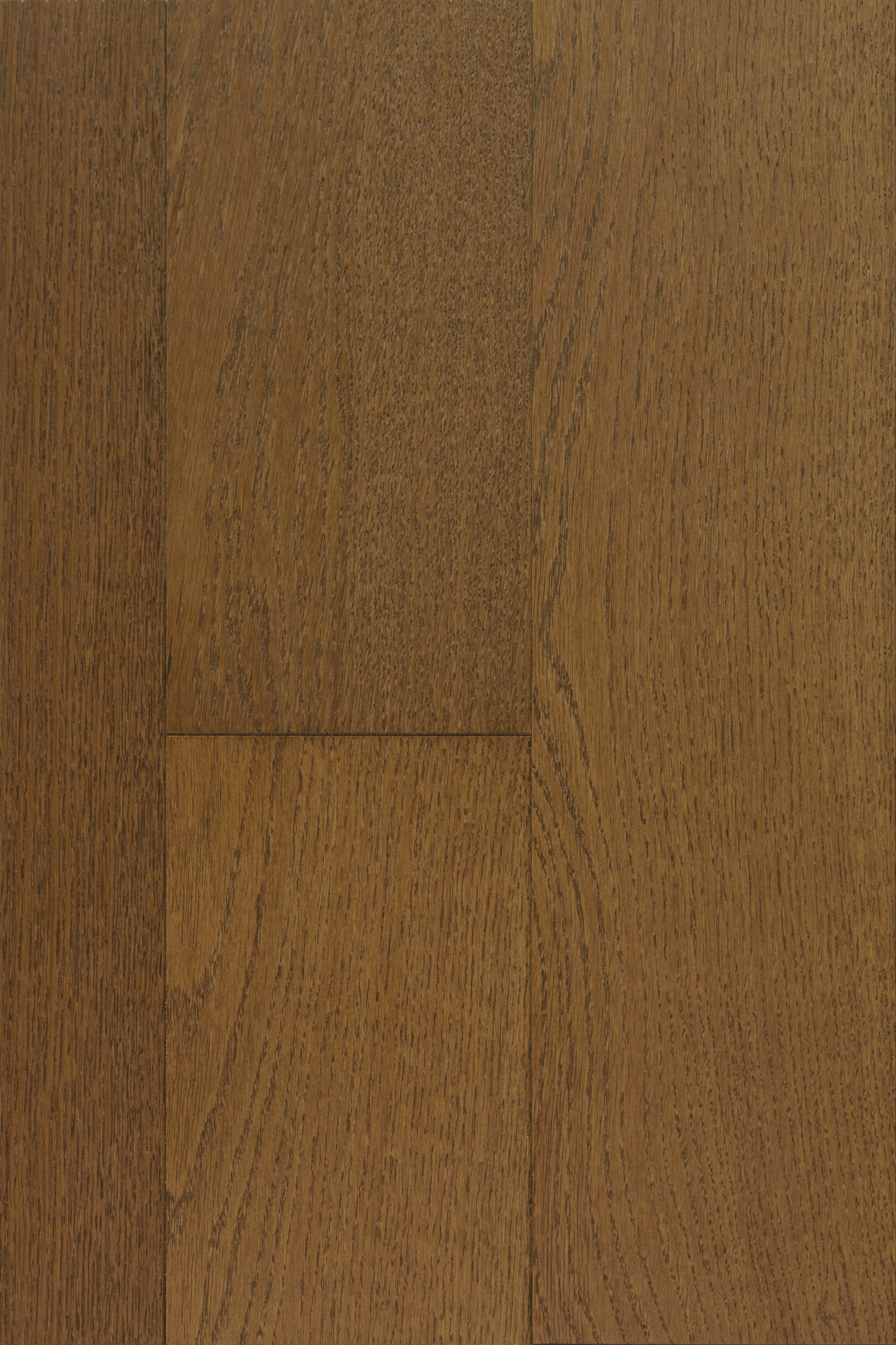 Hazel Caress Engineered Hardwood | CIERO x FUZION
