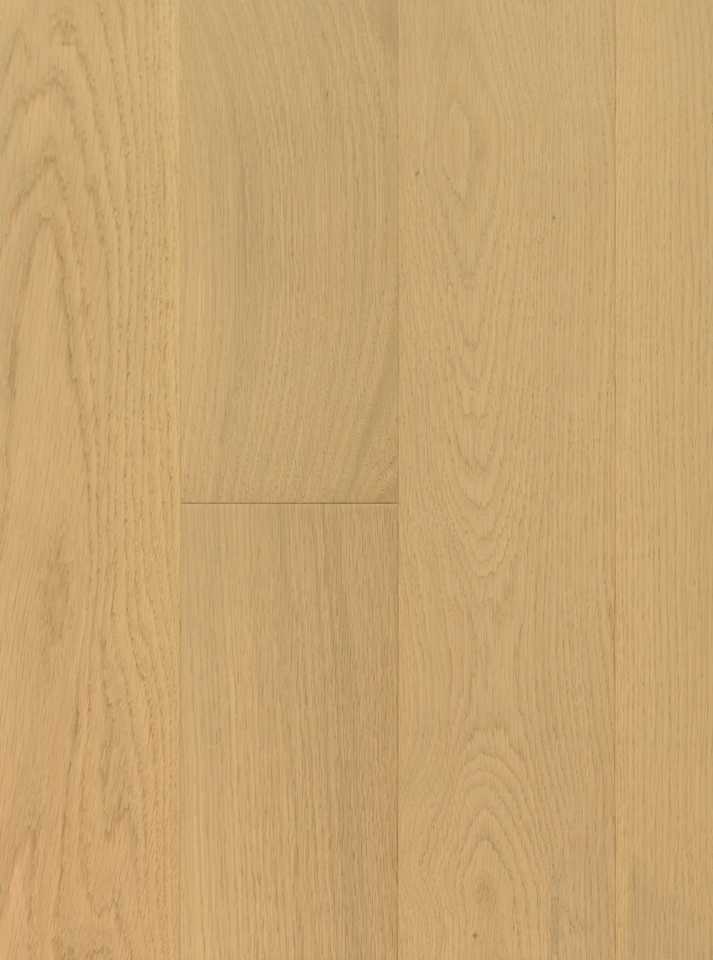 Honey Wheat Engineered Hardwood | CIERO x VIDAR