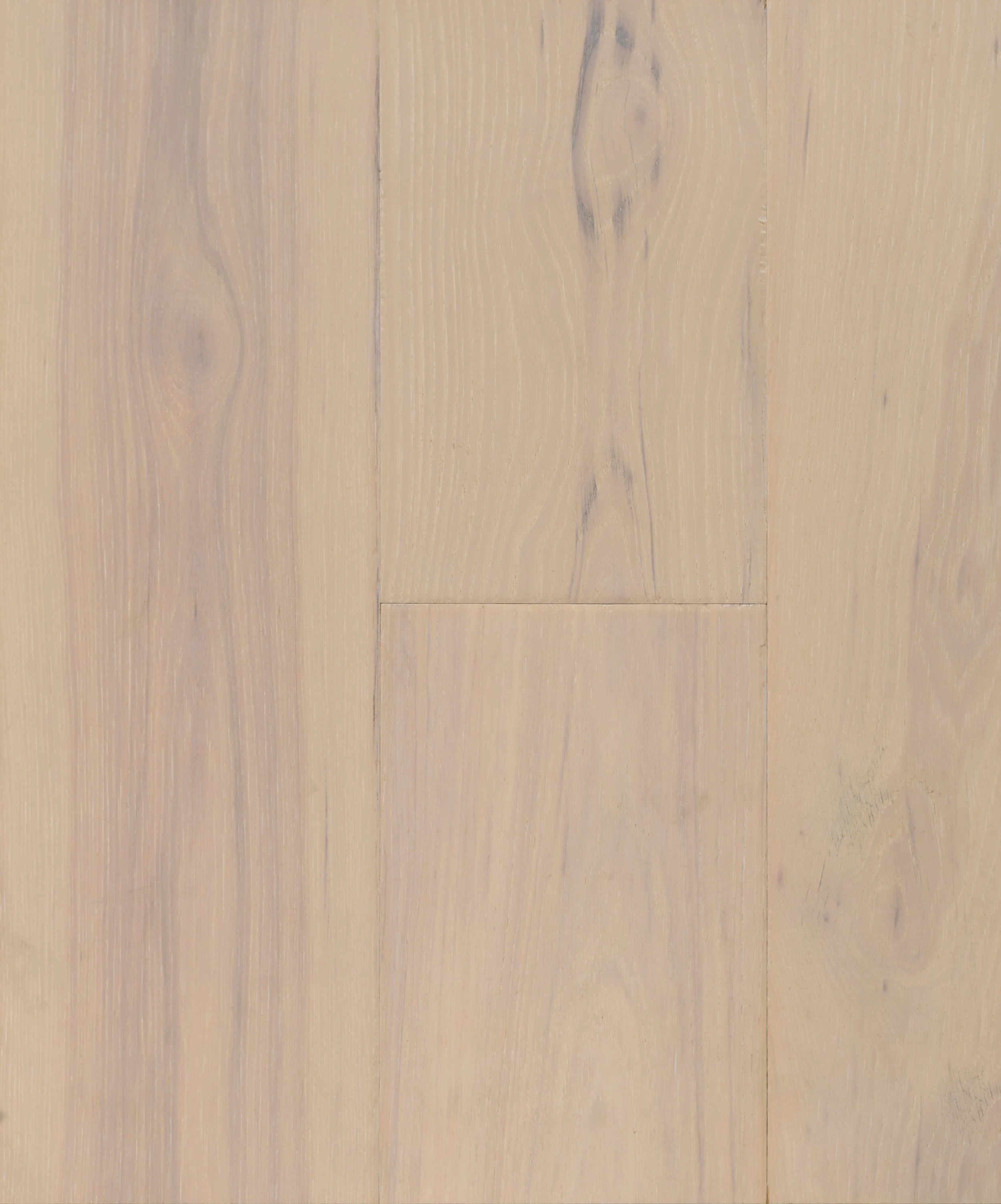 Hayward Engineered Hardwood | CIERO x CANADIAN STANDARD