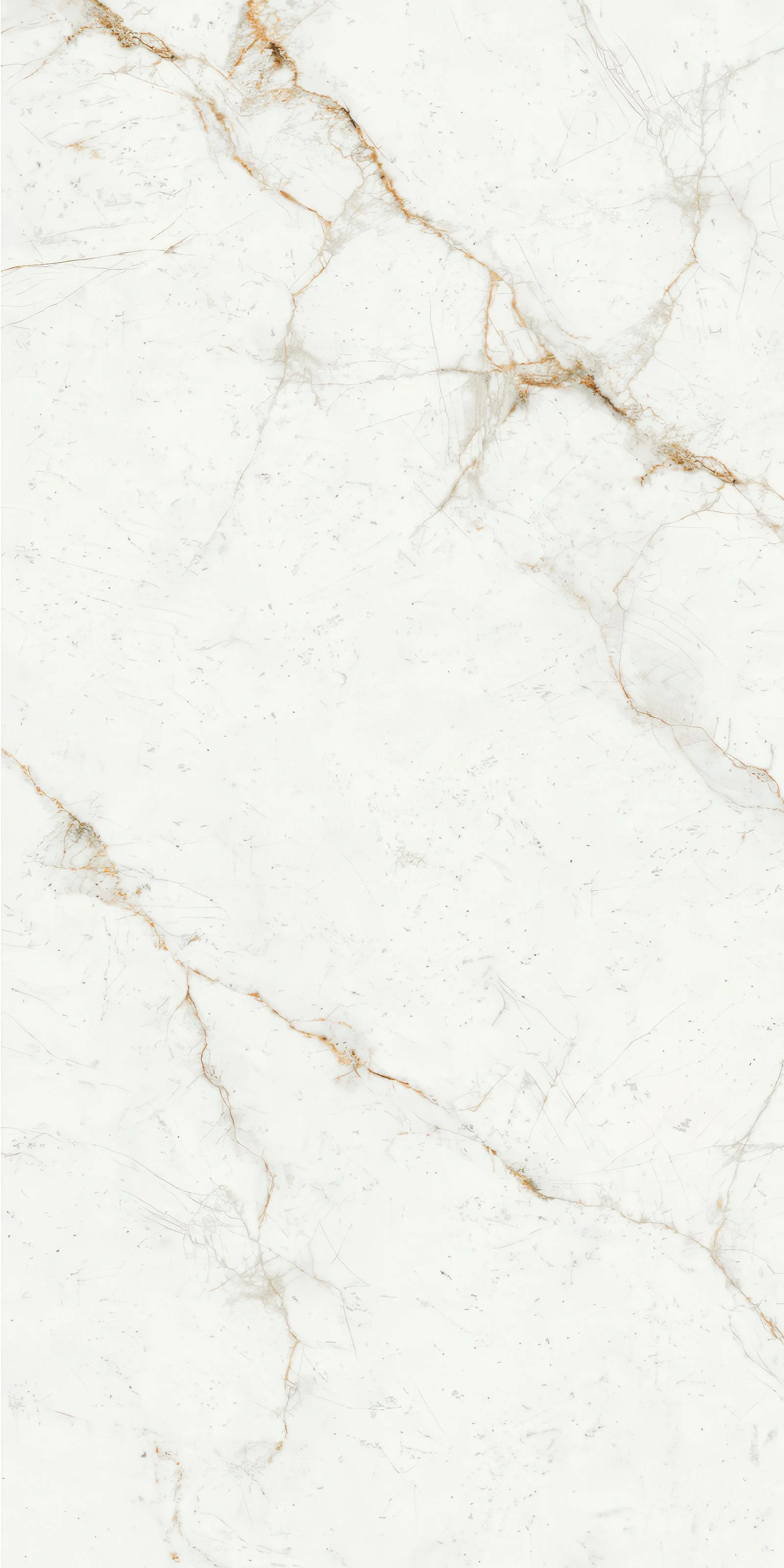 Carrara Gold LW 5' x 10' Porcelain Slab | CIERO