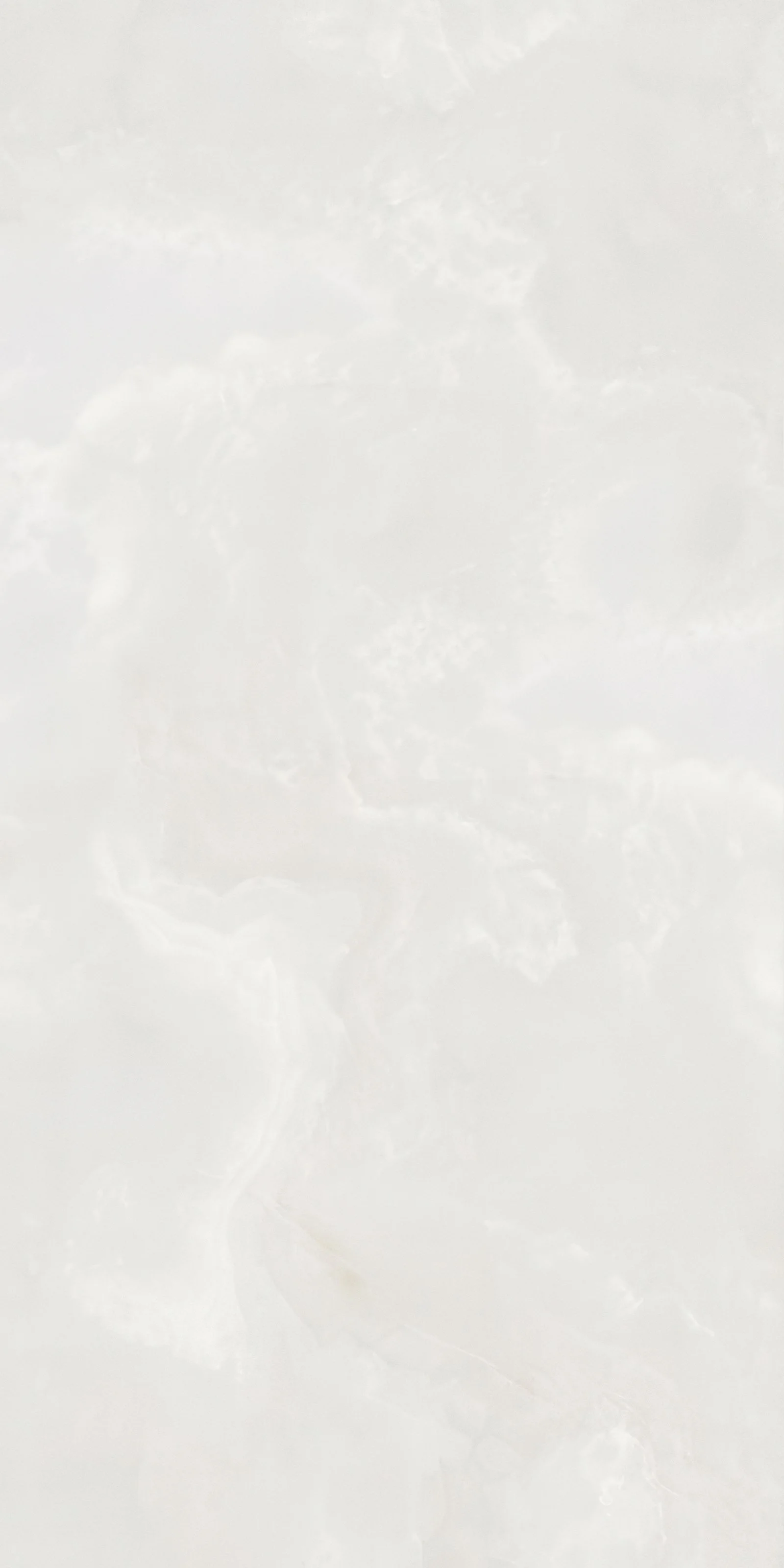 Onyx White 4' x 8' Porcelain Slab | CIERO