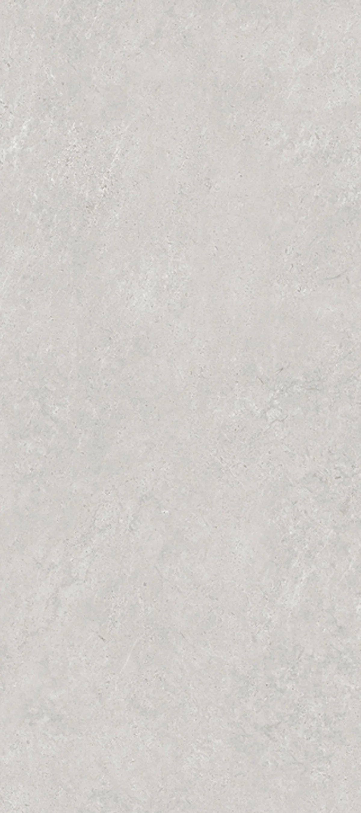 Lime Ash Porcelain Slab | CIERO