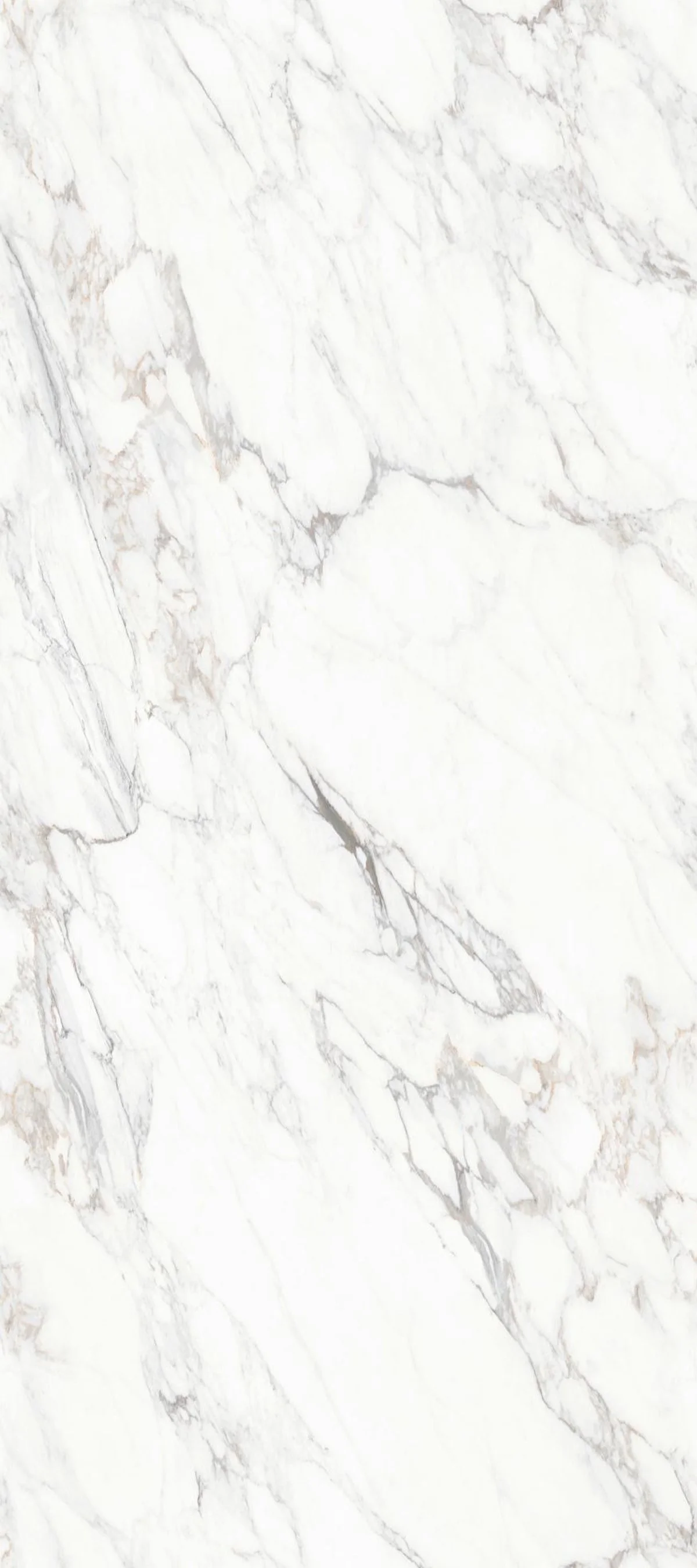 Calacatta Royal 4' x 9' Porcelain Slab | CIERO
