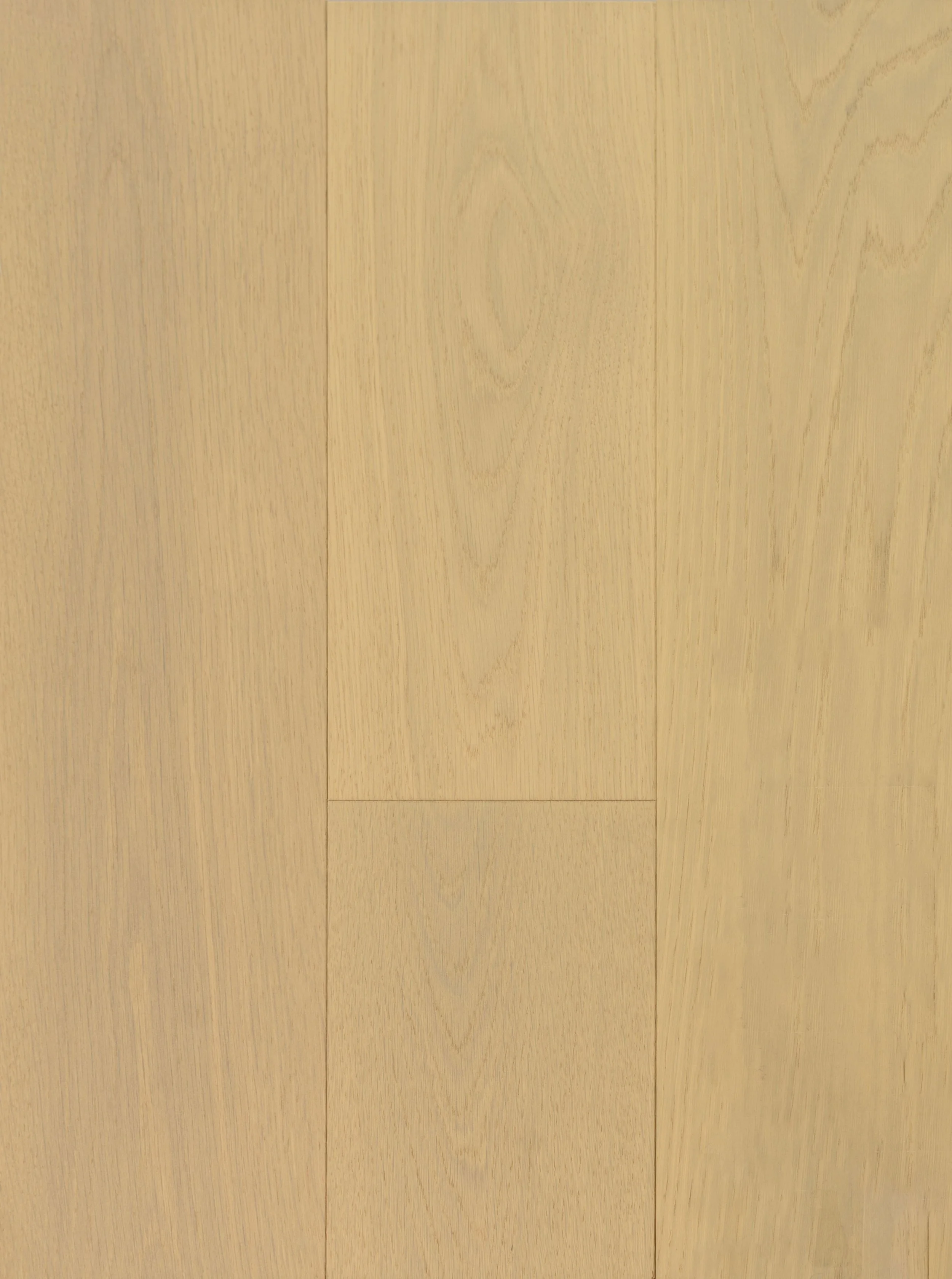 Coconut Cream Engineered Hardwood | CIERO x VIDAR