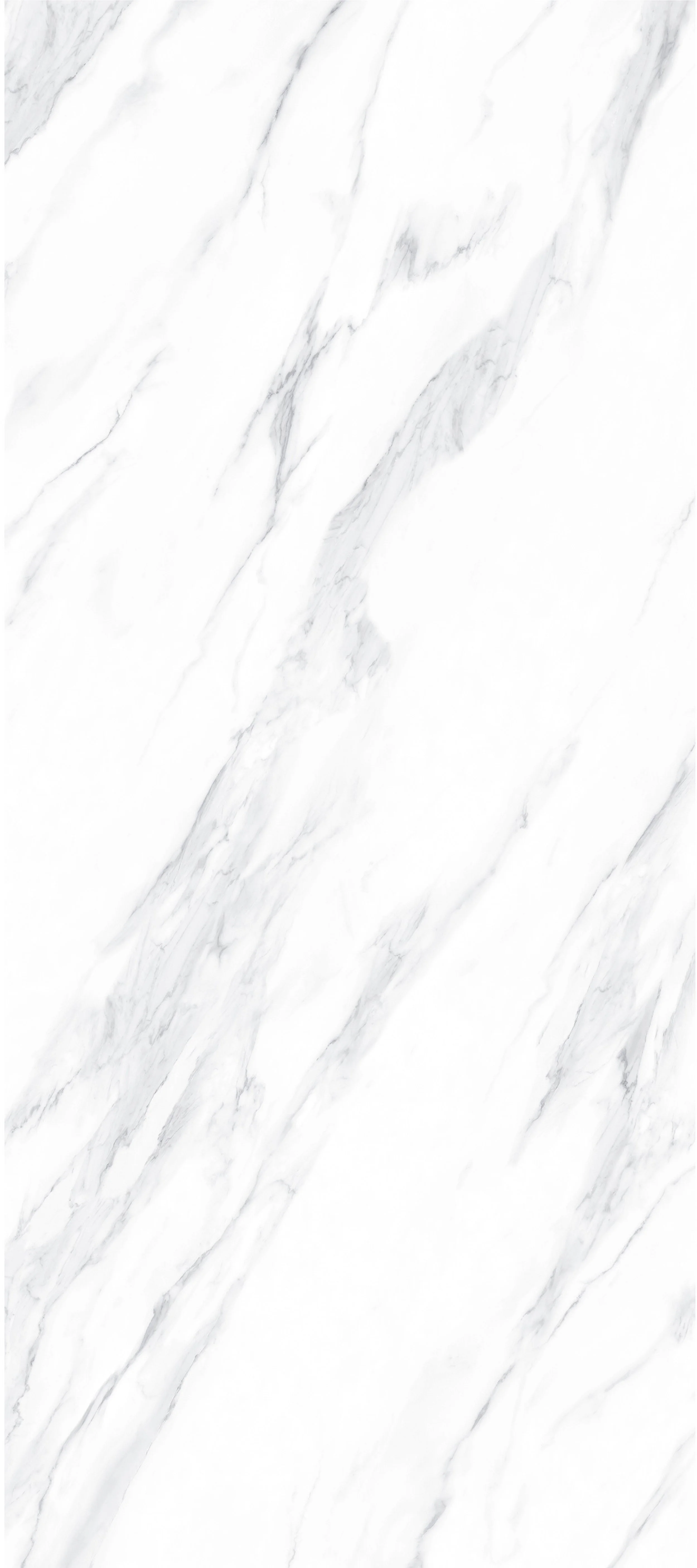 Alaska White 4' x 9' Porcelain Slab | CIERO
