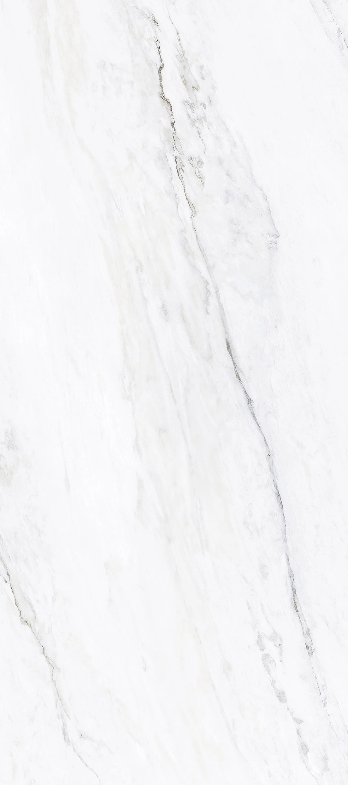 Calacatta Carina 4' x 9' Porcelain Slab | CIERO
