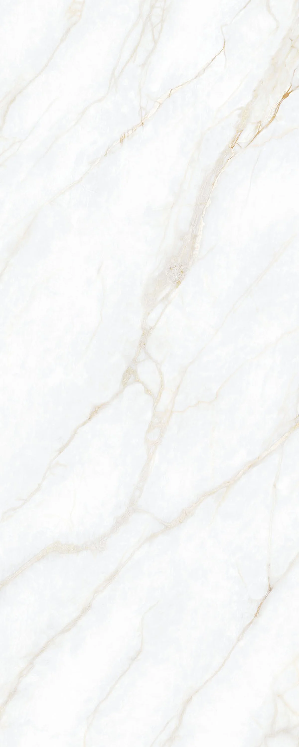 Prestige 4' x 10' Porcelain Slab | CIERO