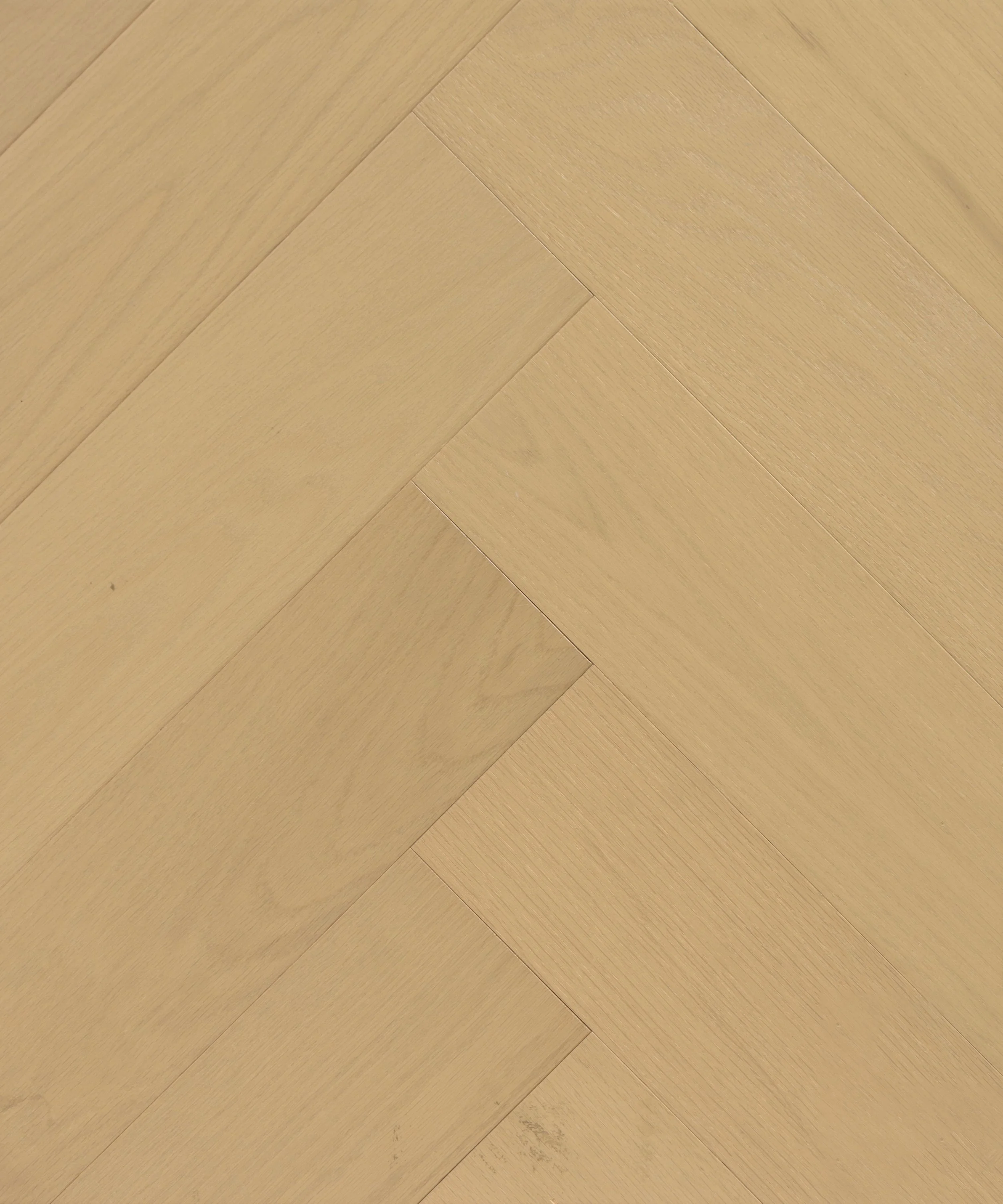 Soothe Engineered Hardwood | CIERO x CANADIAN STANDARD