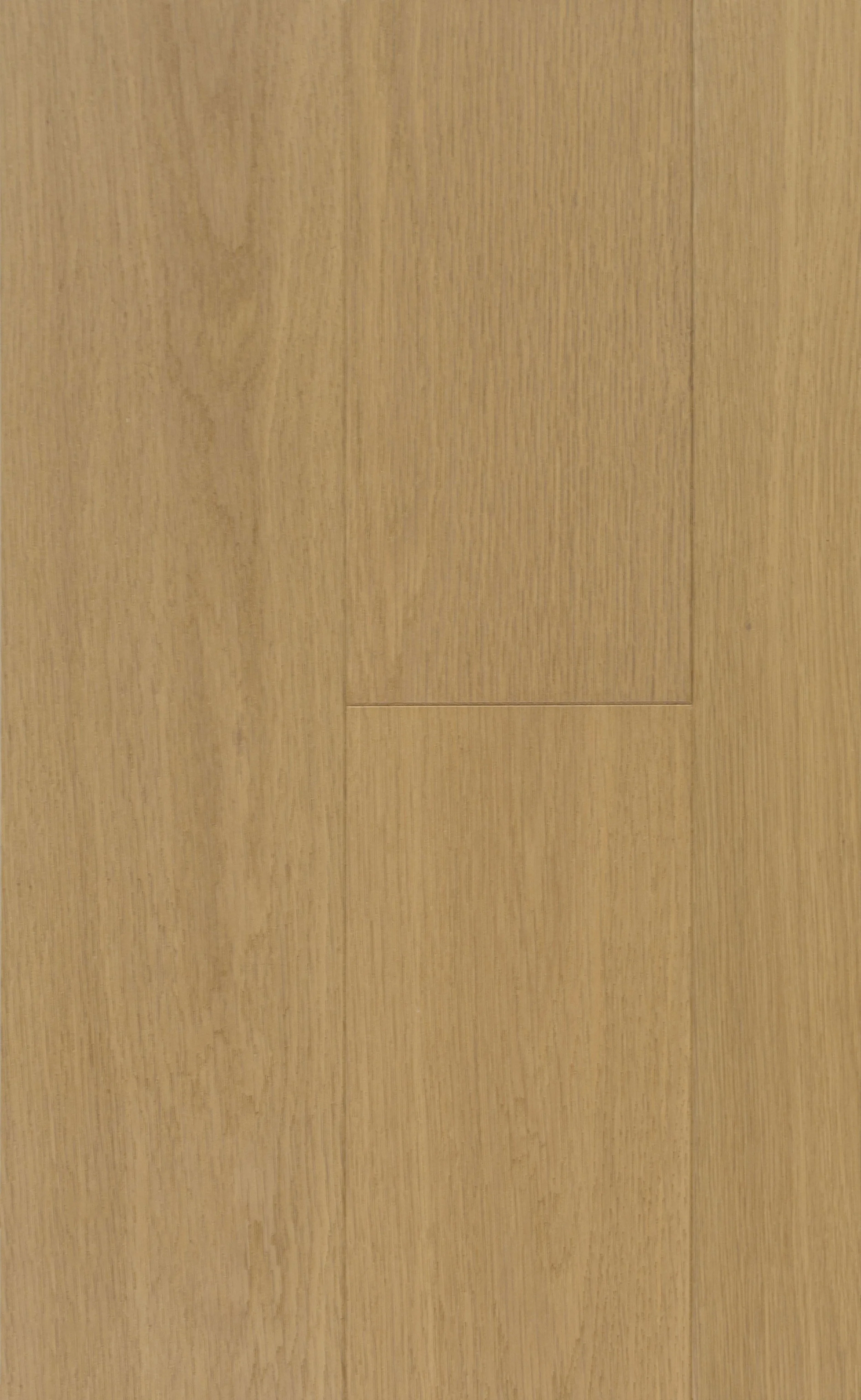 Gullwing Engineered Hardwood | CIERO x FUZION