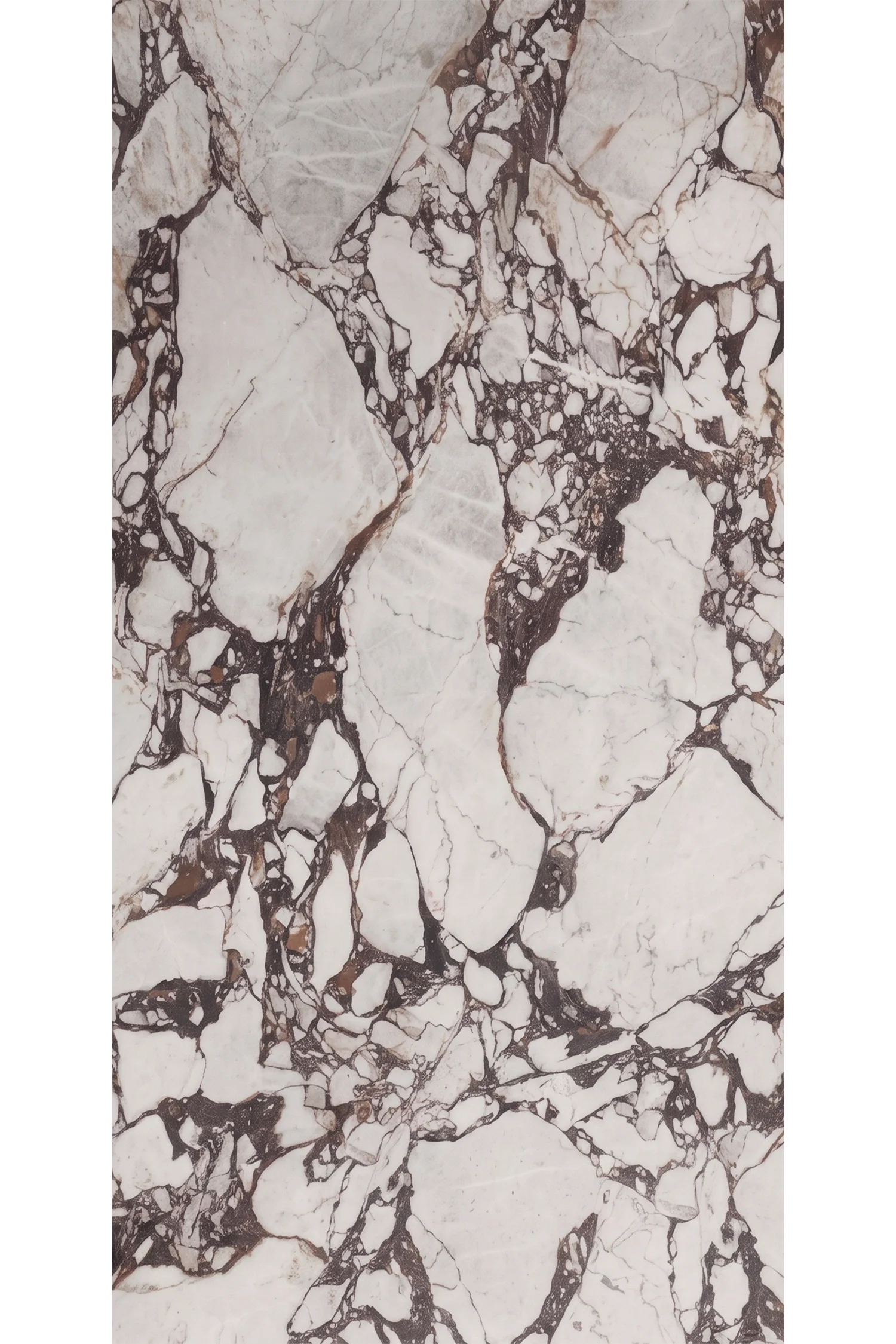 Calacatta Viola Bvlgari 5' x 10' Porcelain Slab | CIERO