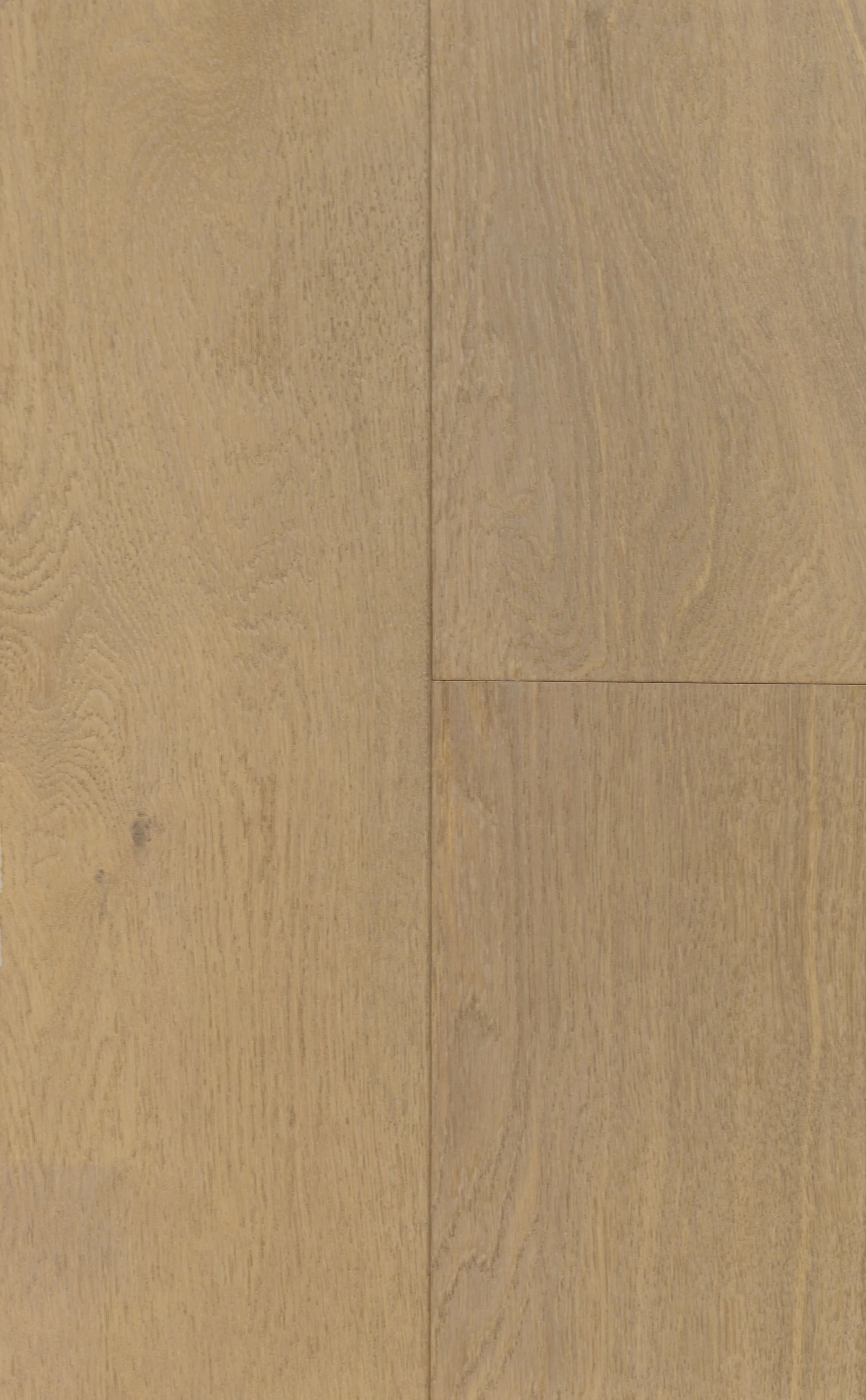 Rhapsody Engineered Hardwood | CIERO x FUZION