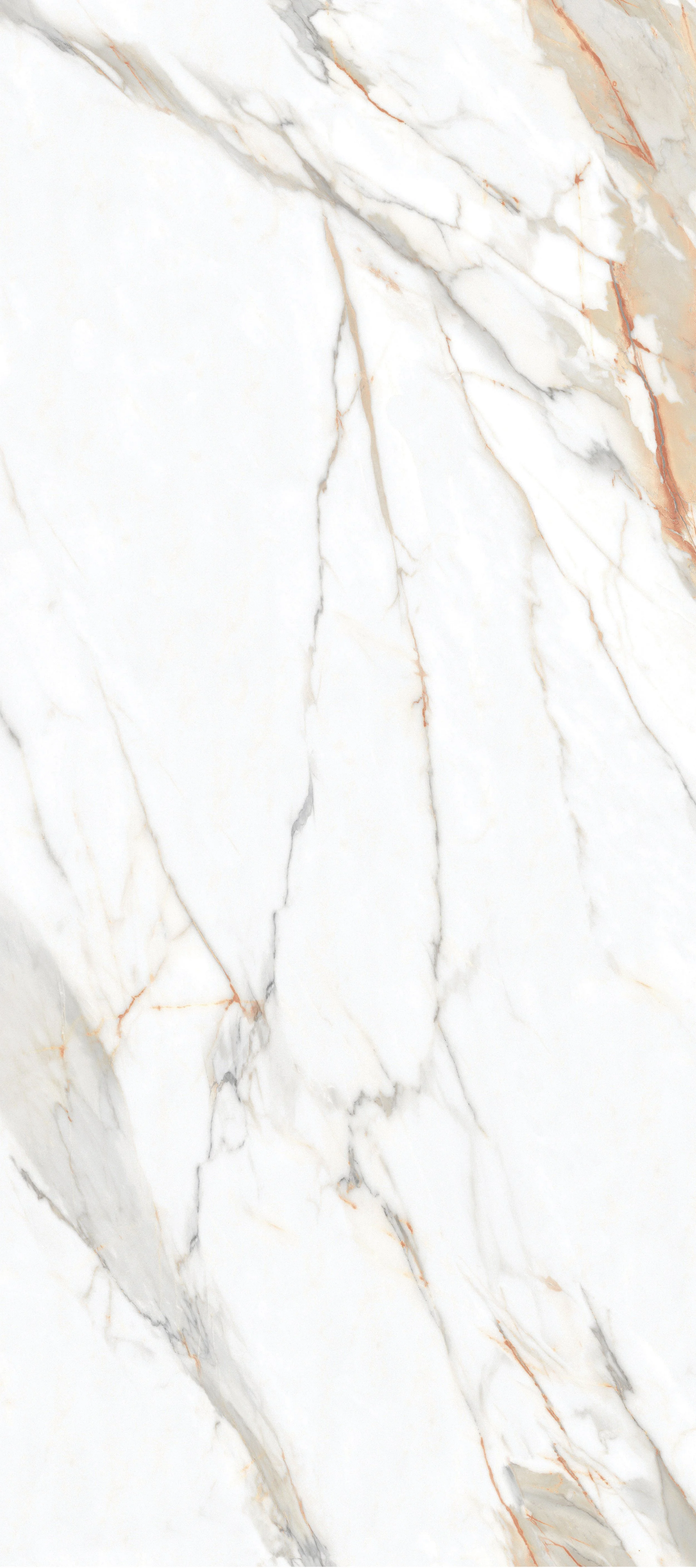 Viola Gold 4' x 9' Porcelain Slab | CIERO