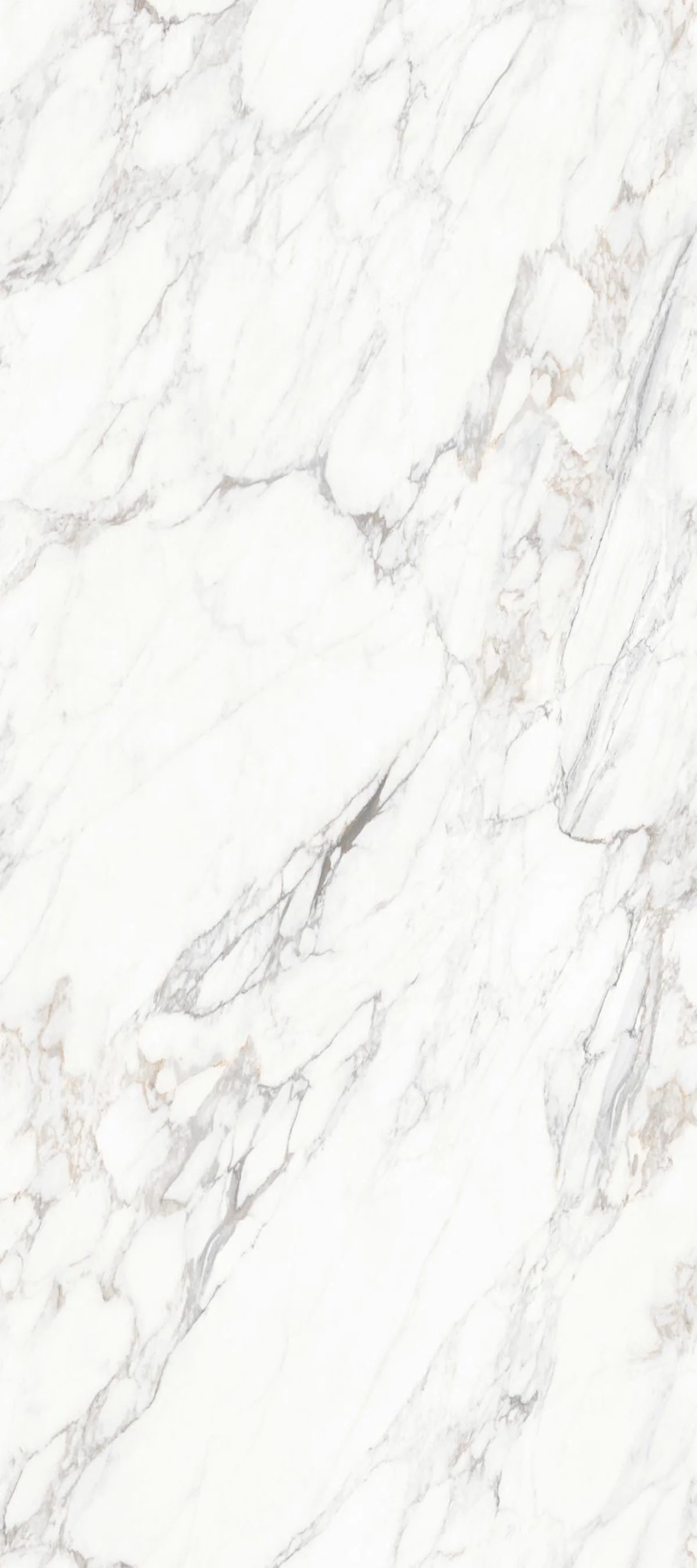Calacatta Royal 4' x 9' Porcelain Slab | CIERO