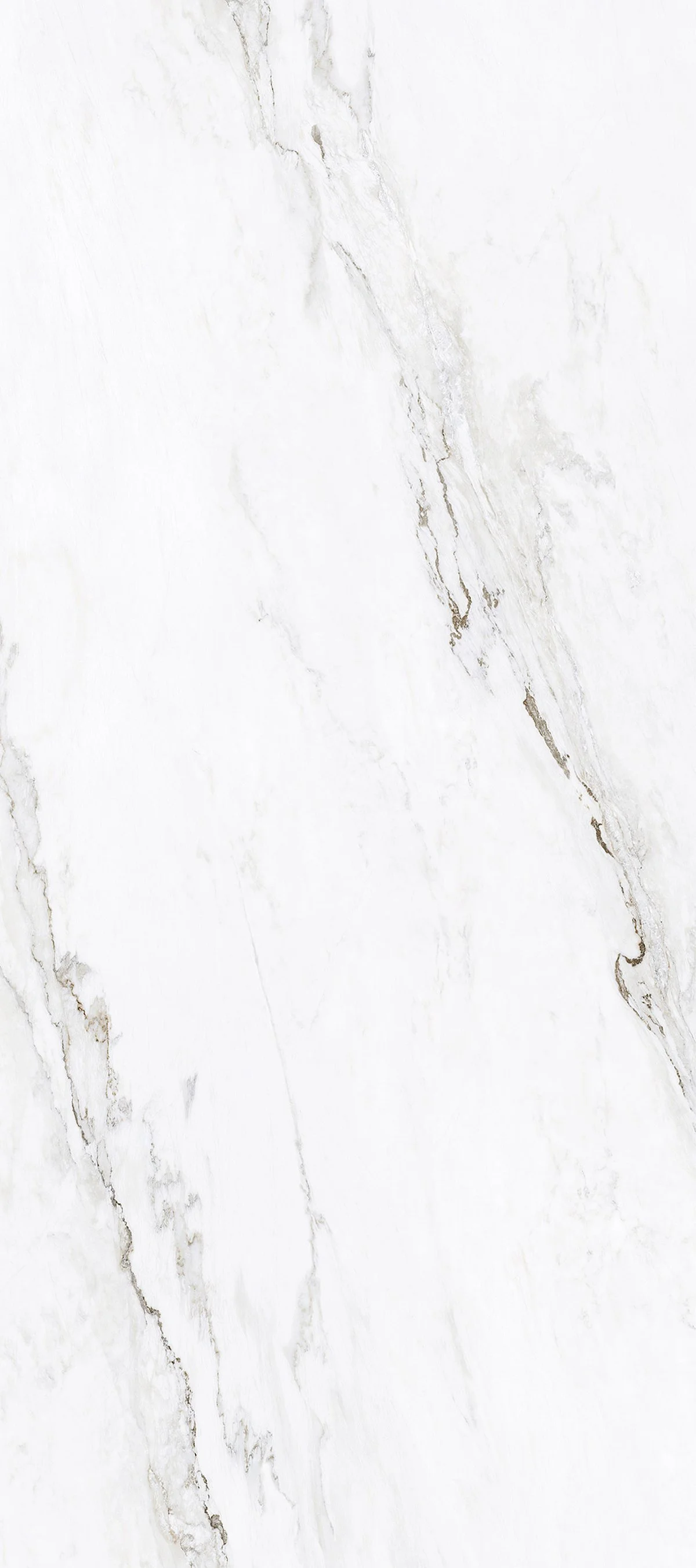 Calacatta Carina 4' x 9' Porcelain Slab | CIERO